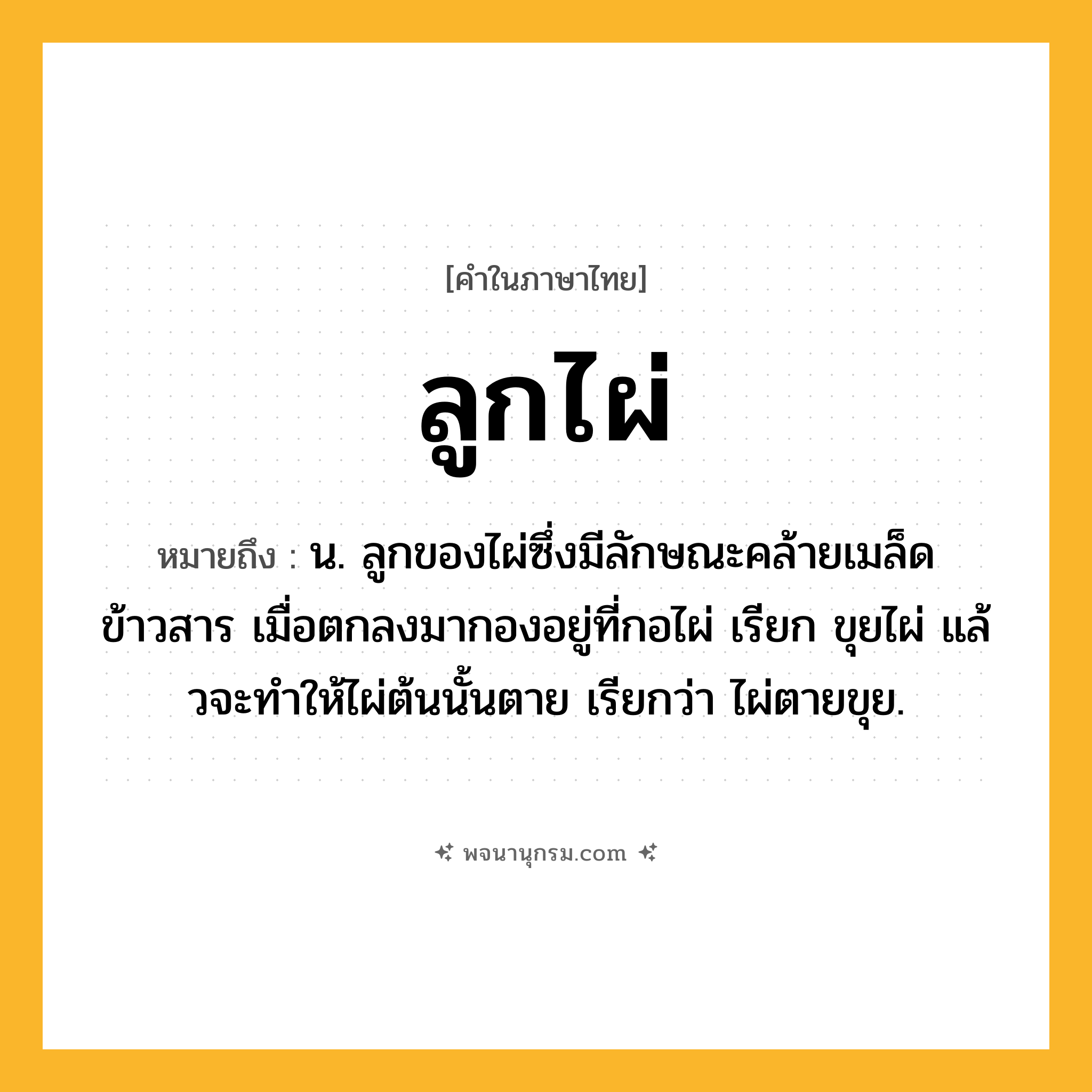 ลูกไผ่ ความหมาย หมายถึงอะไร?, คำในภาษาไทย ลูกไผ่ หมายถึง น. ลูกของไผ่ซึ่งมีลักษณะคล้ายเมล็ดข้าวสาร เมื่อตกลงมากองอยู่ที่กอไผ่ เรียก ขุยไผ่ แล้วจะทําให้ไผ่ต้นนั้นตาย เรียกว่า ไผ่ตายขุย.