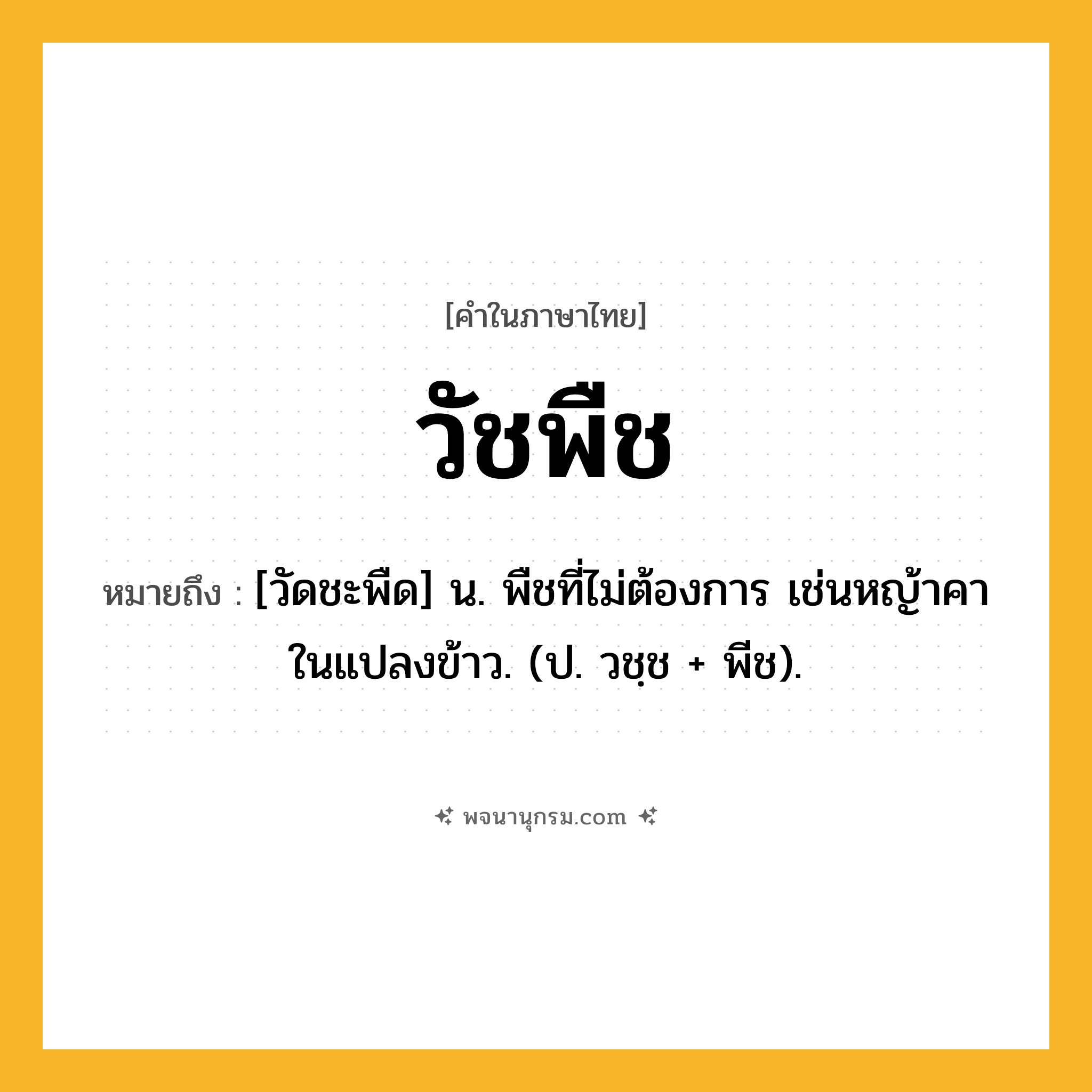 วัชพืช ความหมาย หมายถึงอะไร?, คำในภาษาไทย วัชพืช หมายถึง [วัดชะพืด] น. พืชที่ไม่ต้องการ เช่นหญ้าคาในแปลงข้าว. (ป. วชฺช + พีช).