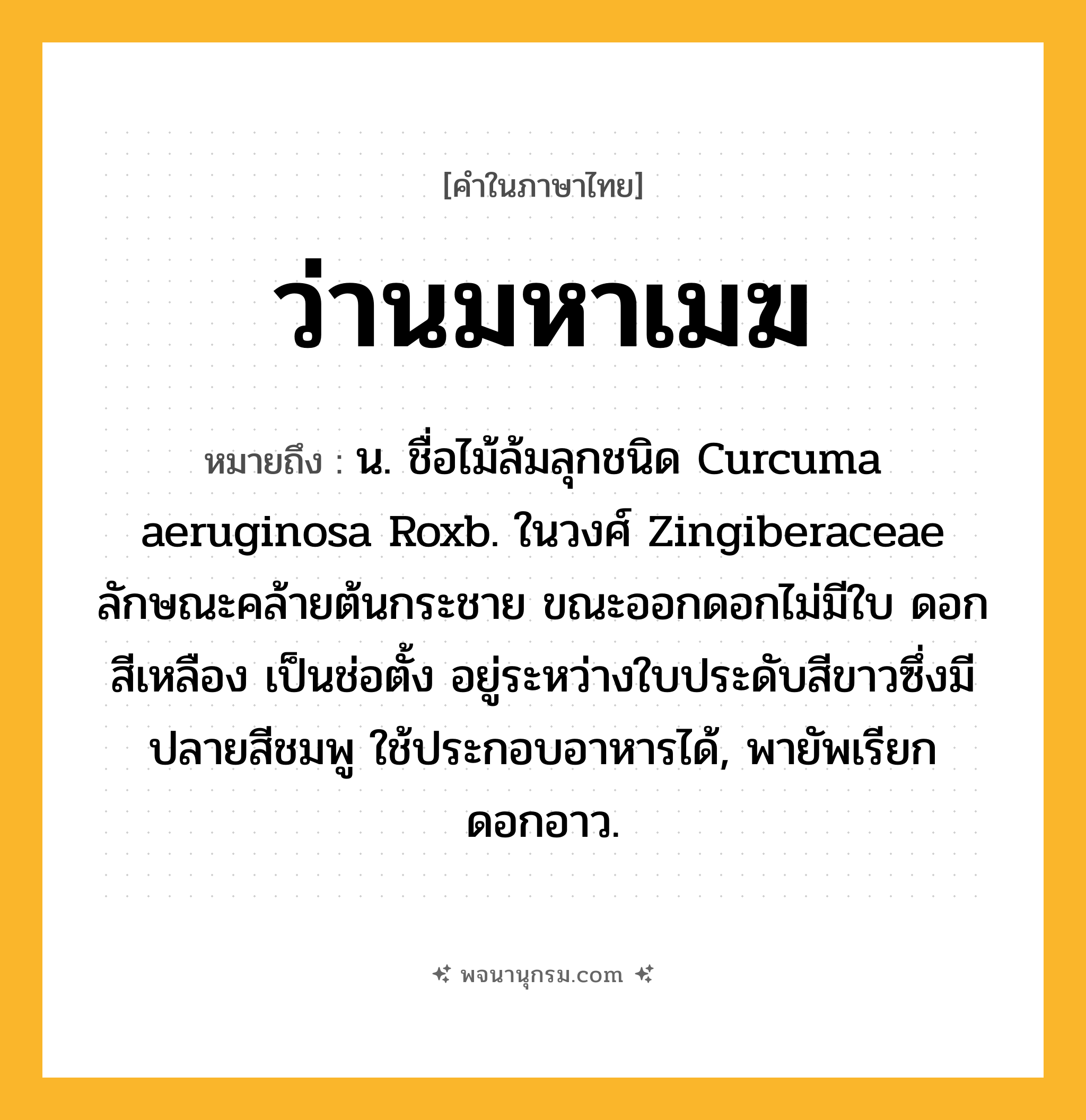 ว่านมหาเมฆ ความหมาย หมายถึงอะไร?, คำในภาษาไทย ว่านมหาเมฆ หมายถึง น. ชื่อไม้ล้มลุกชนิด Curcuma aeruginosa Roxb. ในวงศ์ Zingiberaceae ลักษณะคล้ายต้นกระชาย ขณะออกดอกไม่มีใบ ดอกสีเหลือง เป็นช่อตั้ง อยู่ระหว่างใบประดับสีขาวซึ่งมีปลายสีชมพู ใช้ประกอบอาหารได้, พายัพเรียก ดอกอาว.