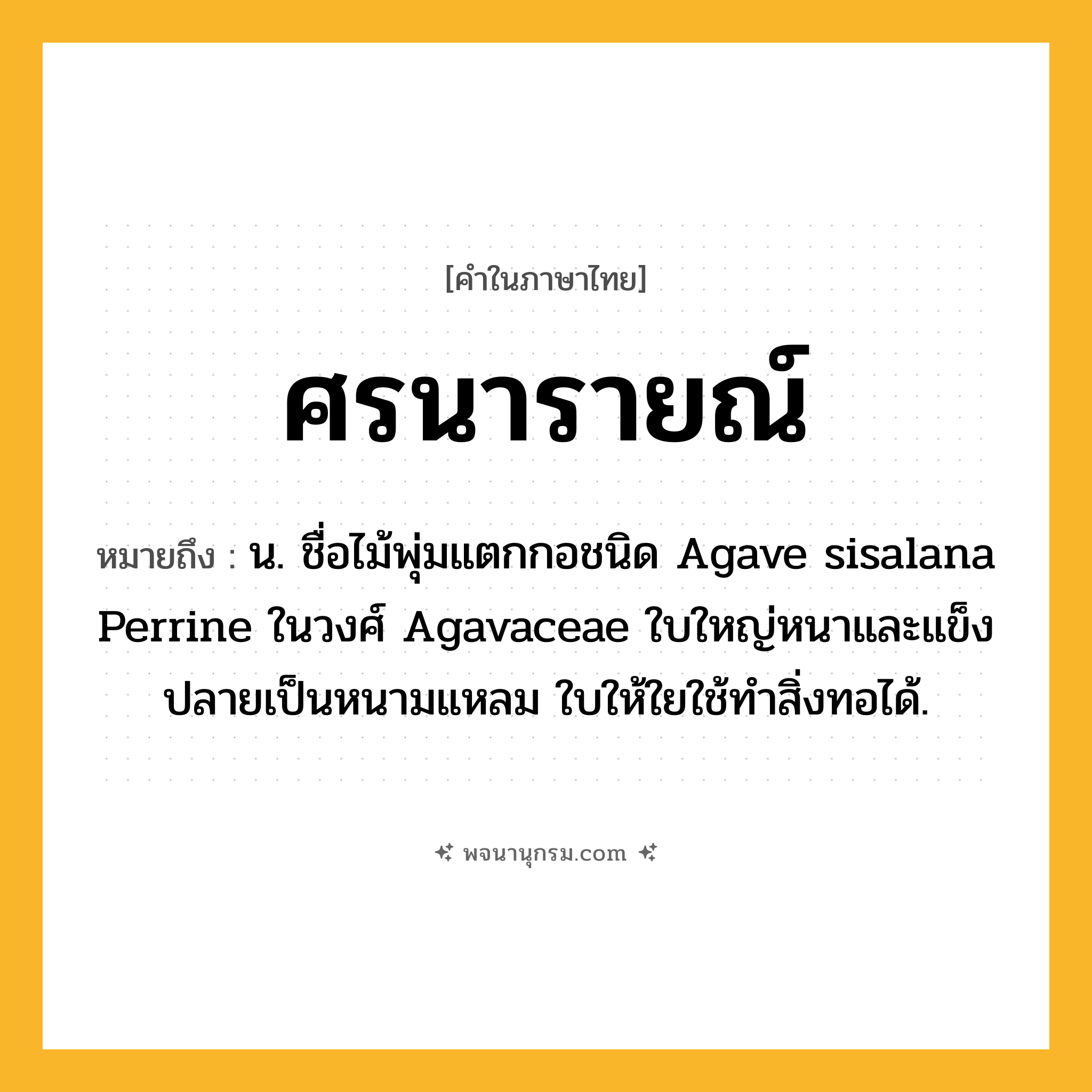 ศรนารายณ์ ความหมาย หมายถึงอะไร?, คำในภาษาไทย ศรนารายณ์ หมายถึง น. ชื่อไม้พุ่มแตกกอชนิด Agave sisalana Perrine ในวงศ์ Agavaceae ใบใหญ่หนาและแข็ง ปลายเป็นหนามแหลม ใบให้ใยใช้ทําสิ่งทอได้.
