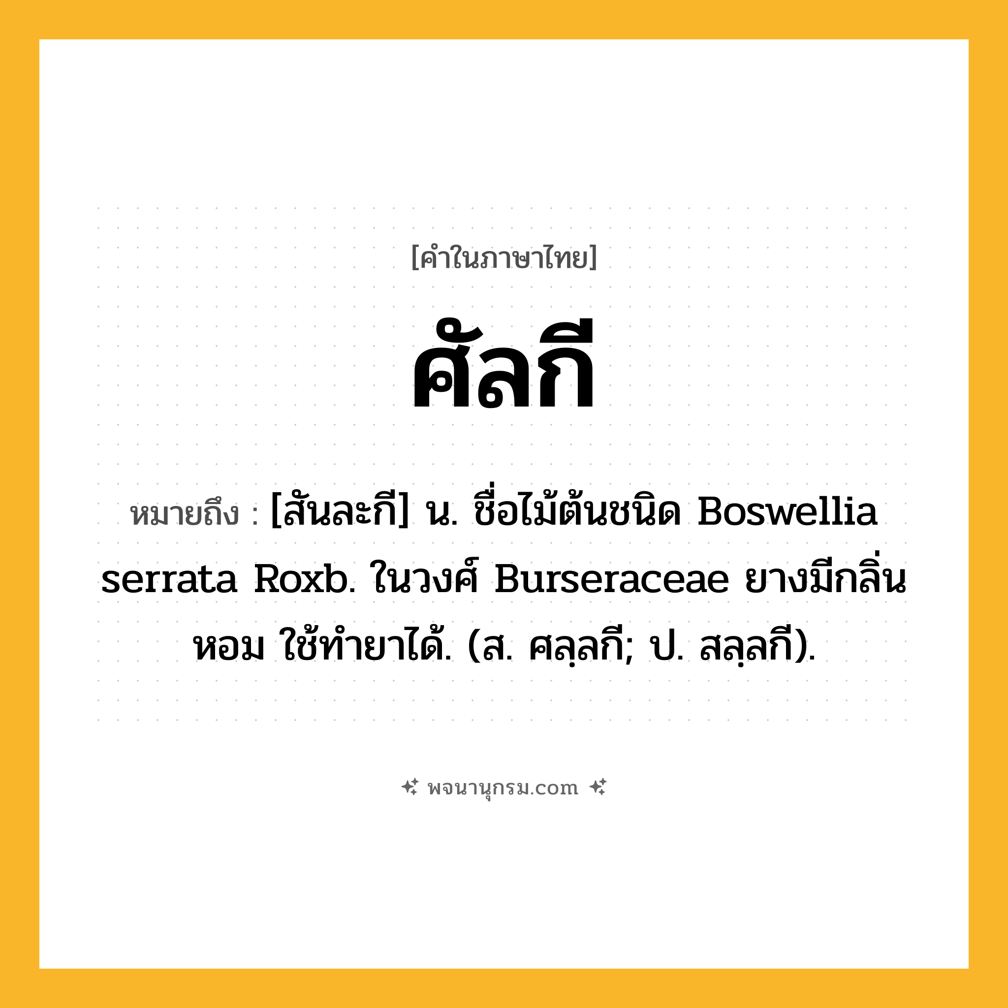 ศัลกี ความหมาย หมายถึงอะไร?, คำในภาษาไทย ศัลกี หมายถึง [สันละกี] น. ชื่อไม้ต้นชนิด Boswellia serrata Roxb. ในวงศ์ Burseraceae ยางมีกลิ่นหอม ใช้ทํายาได้. (ส. ศลฺลกี; ป. สลฺลกี).