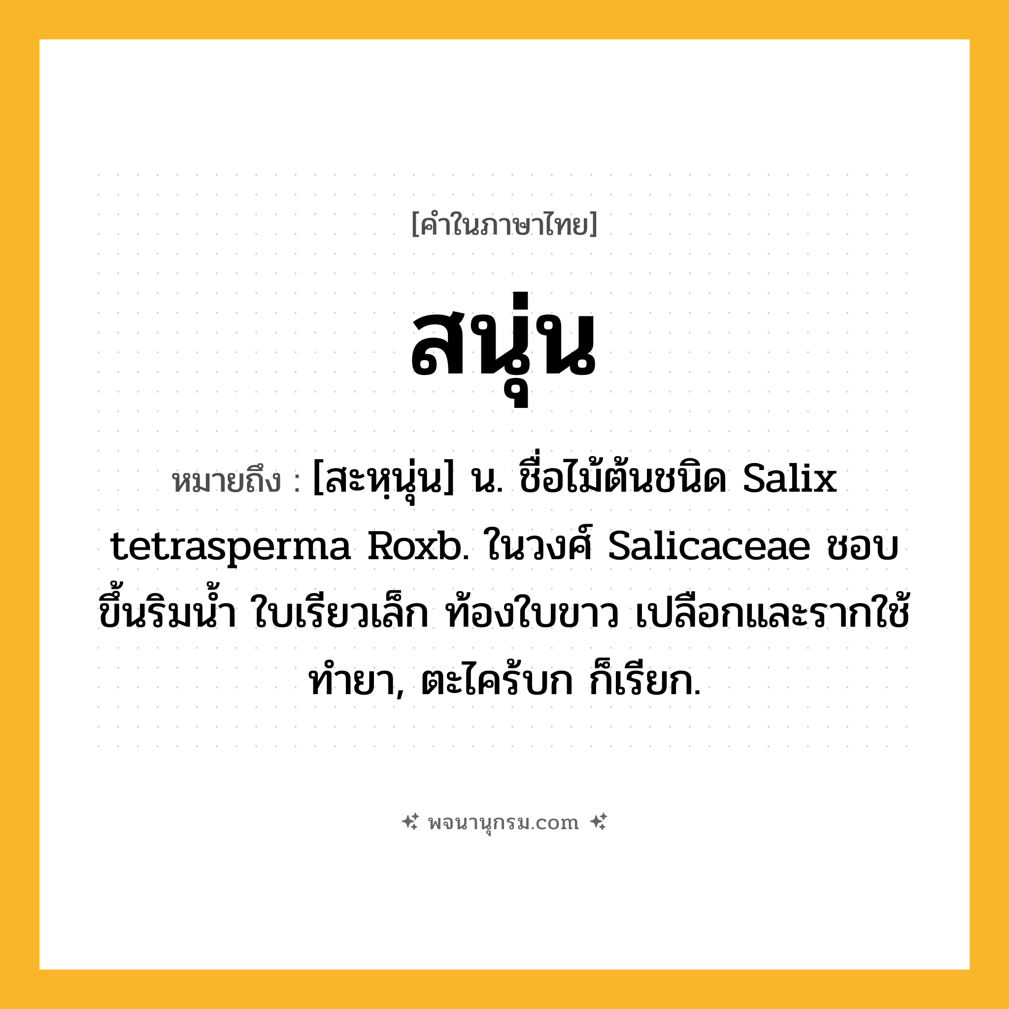 สนุ่น ความหมาย หมายถึงอะไร?, คำในภาษาไทย สนุ่น หมายถึง [สะหฺนุ่น] น. ชื่อไม้ต้นชนิด Salix tetrasperma Roxb. ในวงศ์ Salicaceae ชอบขึ้นริมนํ้า ใบเรียวเล็ก ท้องใบขาว เปลือกและรากใช้ทํายา, ตะไคร้บก ก็เรียก.