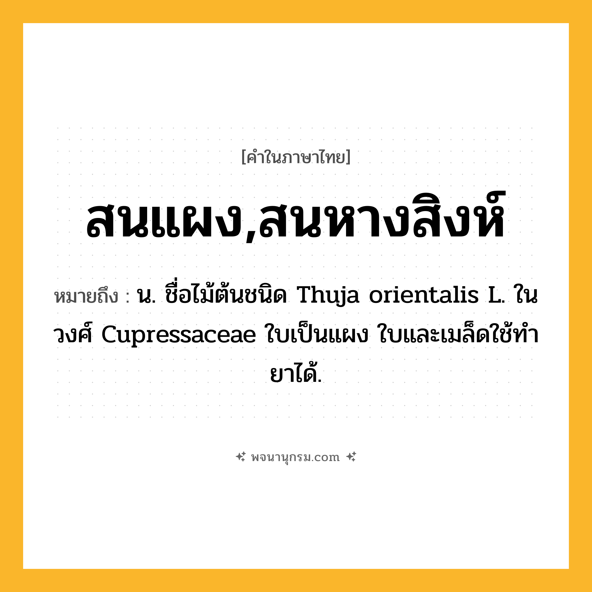 สนแผง,สนหางสิงห์ ความหมาย หมายถึงอะไร?, คำในภาษาไทย สนแผง,สนหางสิงห์ หมายถึง น. ชื่อไม้ต้นชนิด Thuja orientalis L. ในวงศ์ Cupressaceae ใบเป็นแผง ใบและเมล็ดใช้ทํายาได้.
