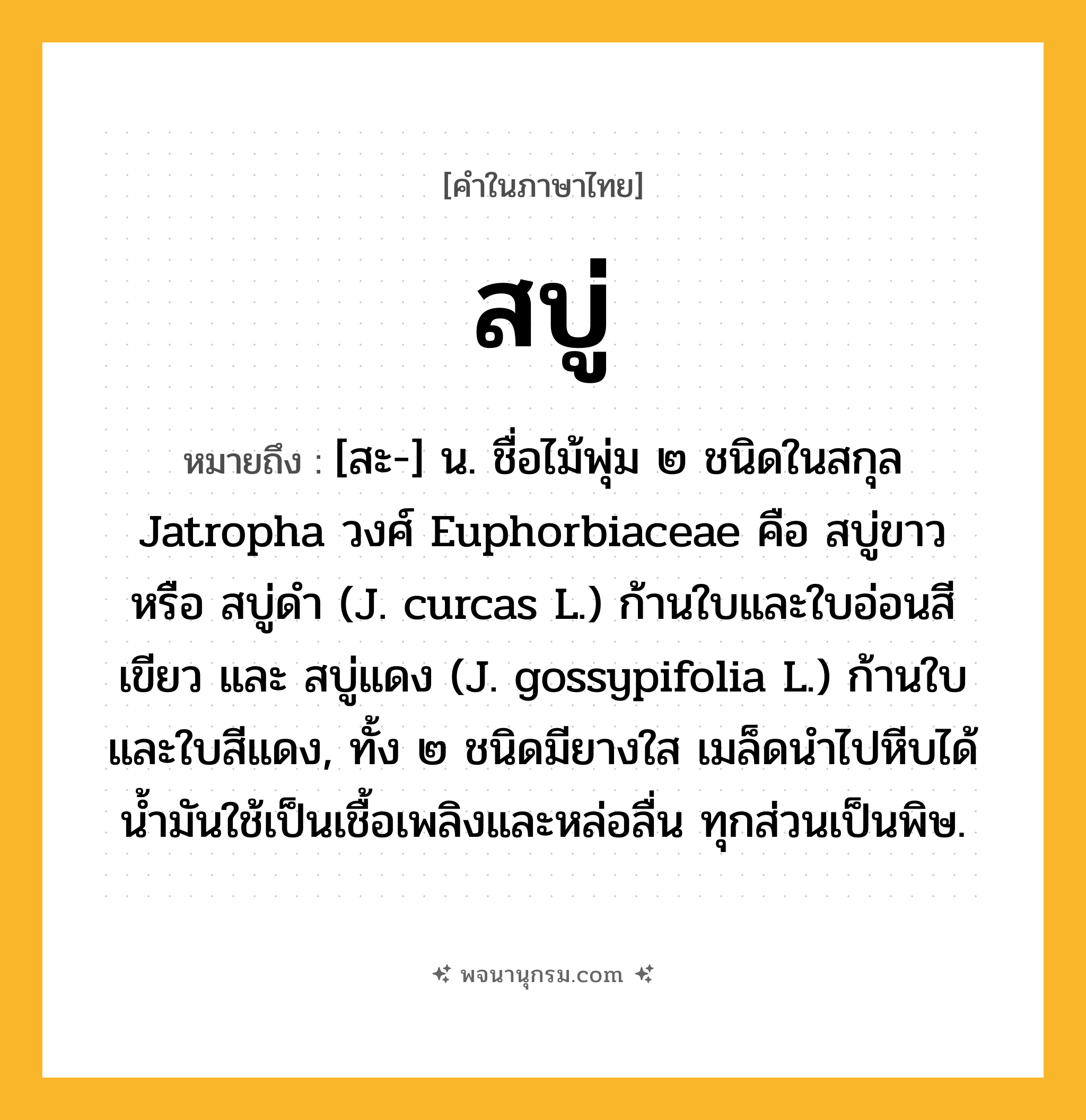 สบู่ ความหมาย หมายถึงอะไร?, คำในภาษาไทย สบู่ หมายถึง [สะ-] น. ชื่อไม้พุ่ม ๒ ชนิดในสกุล Jatropha วงศ์ Euphorbiaceae คือ สบู่ขาว หรือ สบู่ดํา (J. curcas L.) ก้านใบและใบอ่อนสีเขียว และ สบู่แดง (J. gossypifolia L.) ก้านใบและใบสีแดง, ทั้ง ๒ ชนิดมียางใส เมล็ดนําไปหีบได้นํ้ามันใช้เป็นเชื้อเพลิงและหล่อลื่น ทุกส่วนเป็นพิษ.