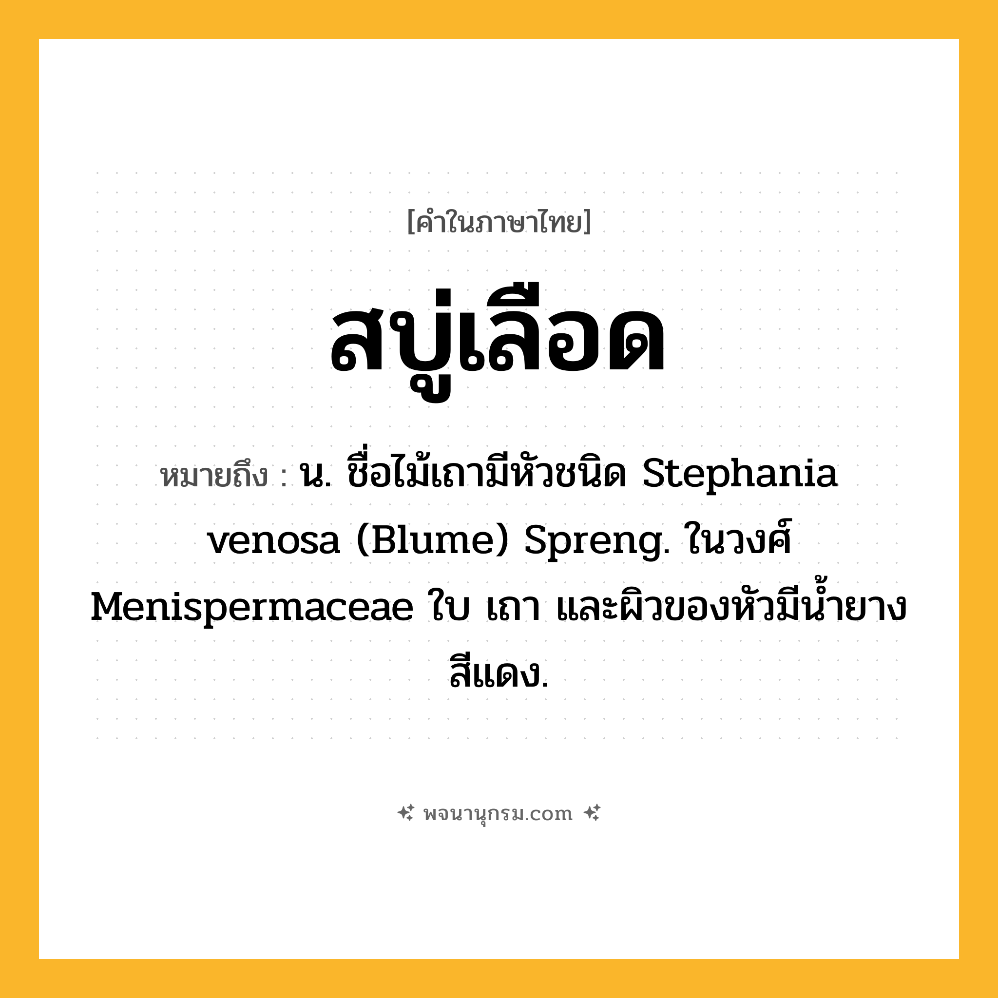 สบู่เลือด ความหมาย หมายถึงอะไร?, คำในภาษาไทย สบู่เลือด หมายถึง น. ชื่อไม้เถามีหัวชนิด Stephania venosa (Blume) Spreng. ในวงศ์ Menispermaceae ใบ เถา และผิวของหัวมีนํ้ายางสีแดง.