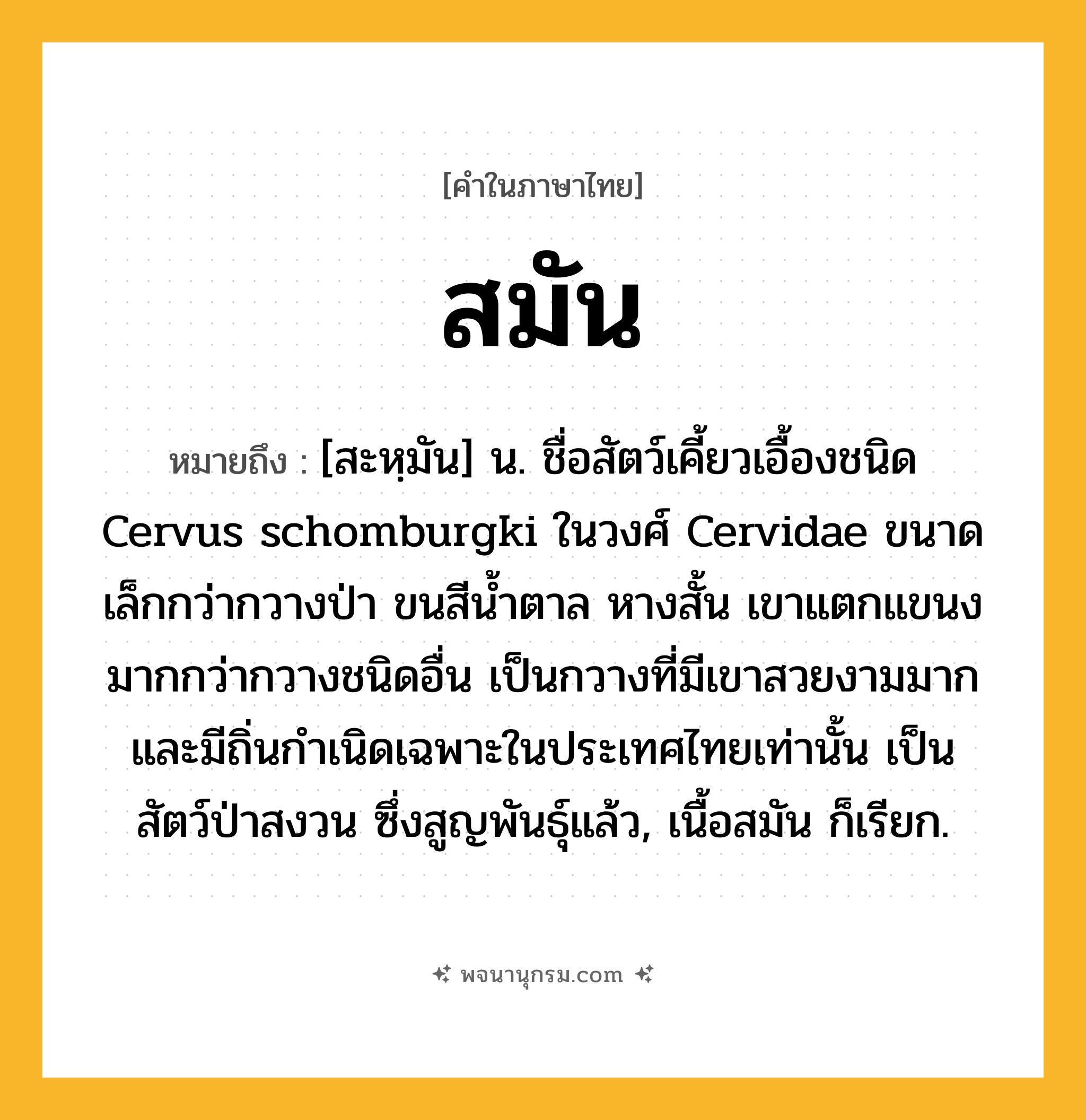 สมัน ความหมาย หมายถึงอะไร?, คำในภาษาไทย สมัน หมายถึง [สะหฺมัน] น. ชื่อสัตว์เคี้ยวเอื้องชนิด Cervus schomburgki ในวงศ์ Cervidae ขนาดเล็กกว่ากวางป่า ขนสีนํ้าตาล หางสั้น เขาแตกแขนงมากกว่ากวางชนิดอื่น เป็นกวางที่มีเขาสวยงามมาก และมีถิ่นกําเนิดเฉพาะในประเทศไทยเท่านั้น เป็นสัตว์ป่าสงวน ซึ่งสูญพันธุ์แล้ว, เนื้อสมัน ก็เรียก.