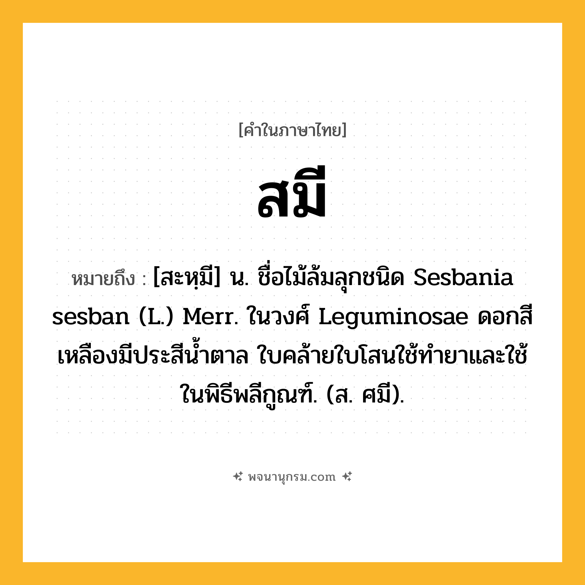 สมี ความหมาย หมายถึงอะไร?, คำในภาษาไทย สมี หมายถึง [สะหฺมี] น. ชื่อไม้ล้มลุกชนิด Sesbania sesban (L.) Merr. ในวงศ์ Leguminosae ดอกสีเหลืองมีประสีนํ้าตาล ใบคล้ายใบโสนใช้ทํายาและใช้ในพิธีพลีกูณฑ์. (ส. ศมี).