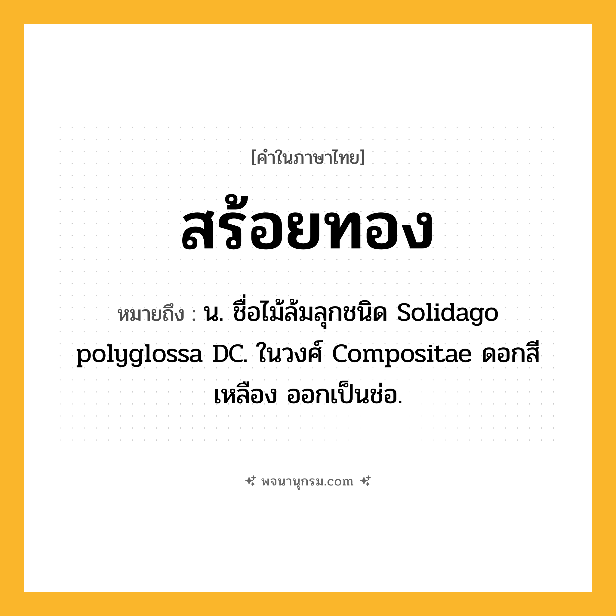 สร้อยทอง ความหมาย หมายถึงอะไร?, คำในภาษาไทย สร้อยทอง หมายถึง น. ชื่อไม้ล้มลุกชนิด Solidago polyglossa DC. ในวงศ์ Compositae ดอกสีเหลือง ออกเป็นช่อ.