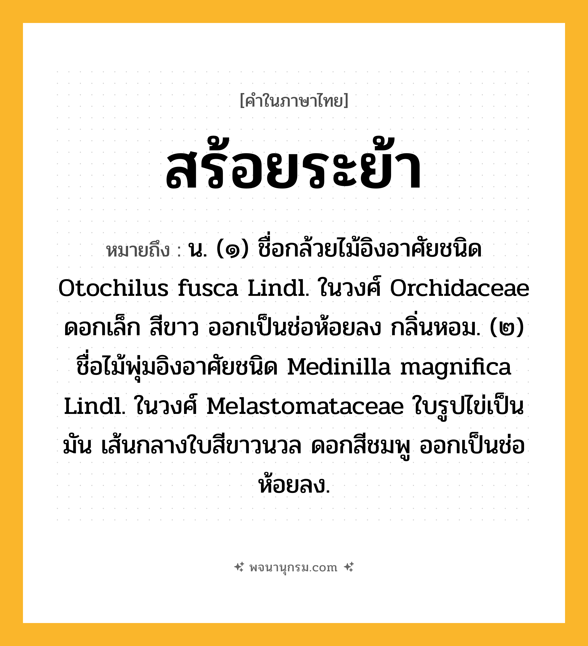 สร้อยระย้า ความหมาย หมายถึงอะไร?, คำในภาษาไทย สร้อยระย้า หมายถึง น. (๑) ชื่อกล้วยไม้อิงอาศัยชนิด Otochilus fusca Lindl. ในวงศ์ Orchidaceae ดอกเล็ก สีขาว ออกเป็นช่อห้อยลง กลิ่นหอม. (๒) ชื่อไม้พุ่มอิงอาศัยชนิด Medinilla magnifica Lindl. ในวงศ์ Melastomataceae ใบรูปไข่เป็นมัน เส้นกลางใบสีขาวนวล ดอกสีชมพู ออกเป็นช่อห้อยลง.