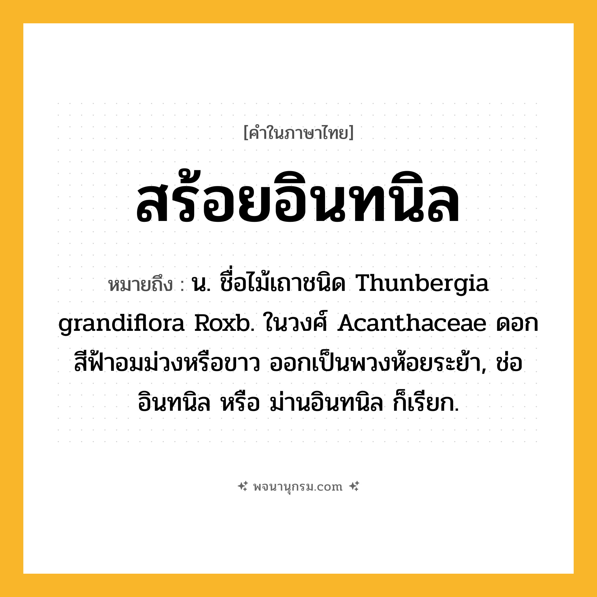 สร้อยอินทนิล ความหมาย หมายถึงอะไร?, คำในภาษาไทย สร้อยอินทนิล หมายถึง น. ชื่อไม้เถาชนิด Thunbergia grandiflora Roxb. ในวงศ์ Acanthaceae ดอกสีฟ้าอมม่วงหรือขาว ออกเป็นพวงห้อยระย้า, ช่ออินทนิล หรือ ม่านอินทนิล ก็เรียก.