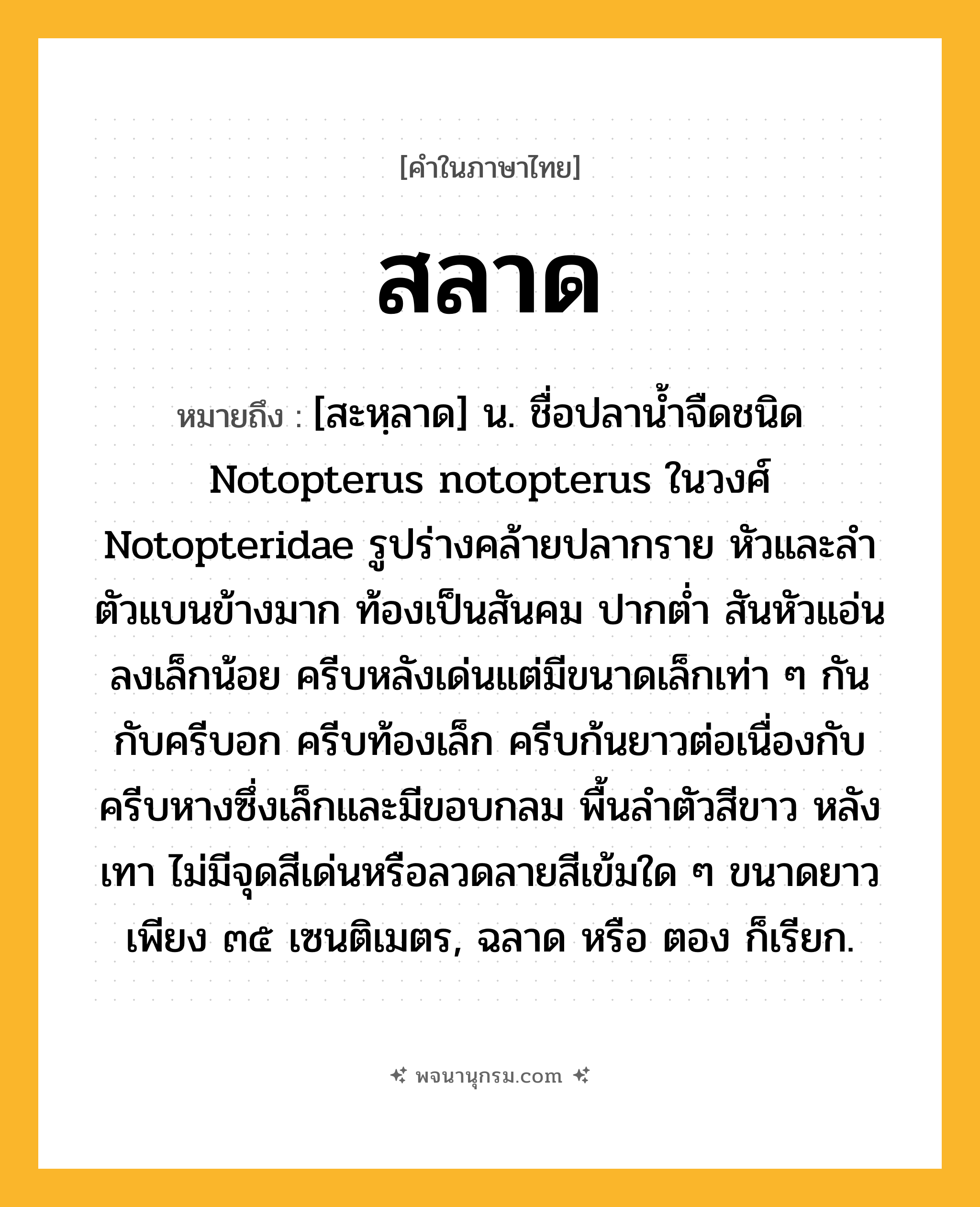 สลาด ความหมาย หมายถึงอะไร?, คำในภาษาไทย สลาด หมายถึง [สะหฺลาด] น. ชื่อปลานํ้าจืดชนิด Notopterus notopterus ในวงศ์ Notopteridae รูปร่างคล้ายปลากราย หัวและลําตัวแบนข้างมาก ท้องเป็นสันคม ปากตํ่า สันหัวแอ่นลงเล็กน้อย ครีบหลังเด่นแต่มีขนาดเล็กเท่า ๆ กันกับครีบอก ครีบท้องเล็ก ครีบก้นยาวต่อเนื่องกับครีบหางซึ่งเล็กและมีขอบกลม พื้นลําตัวสีขาว หลังเทา ไม่มีจุดสีเด่นหรือลวดลายสีเข้มใด ๆ ขนาดยาวเพียง ๓๕ เซนติเมตร, ฉลาด หรือ ตอง ก็เรียก.