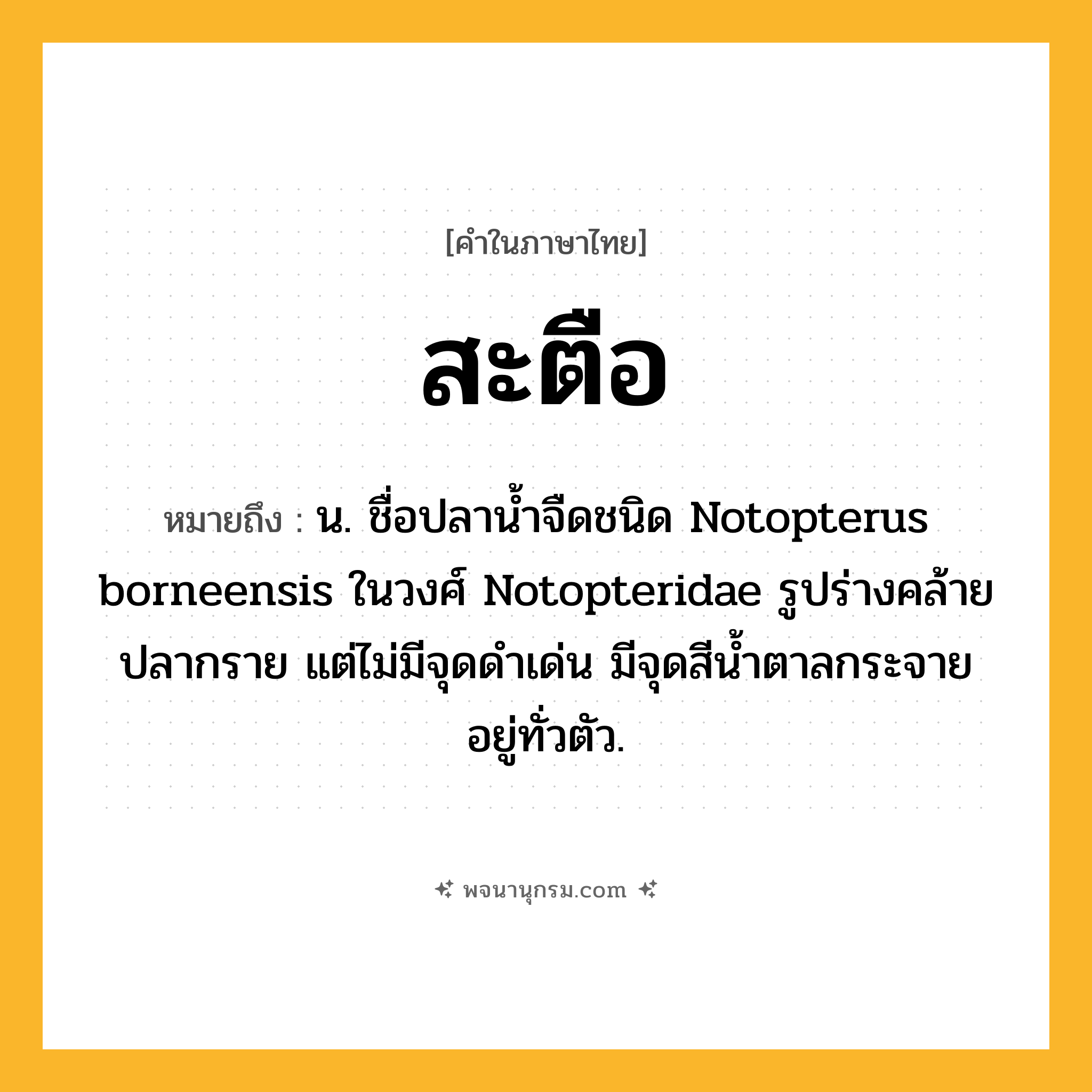 สะตือ ความหมาย หมายถึงอะไร?, คำในภาษาไทย สะตือ หมายถึง น. ชื่อปลานํ้าจืดชนิด Notopterus borneensis ในวงศ์ Notopteridae รูปร่างคล้ายปลากราย แต่ไม่มีจุดดําเด่น มีจุดสีนํ้าตาลกระจายอยู่ทั่วตัว.