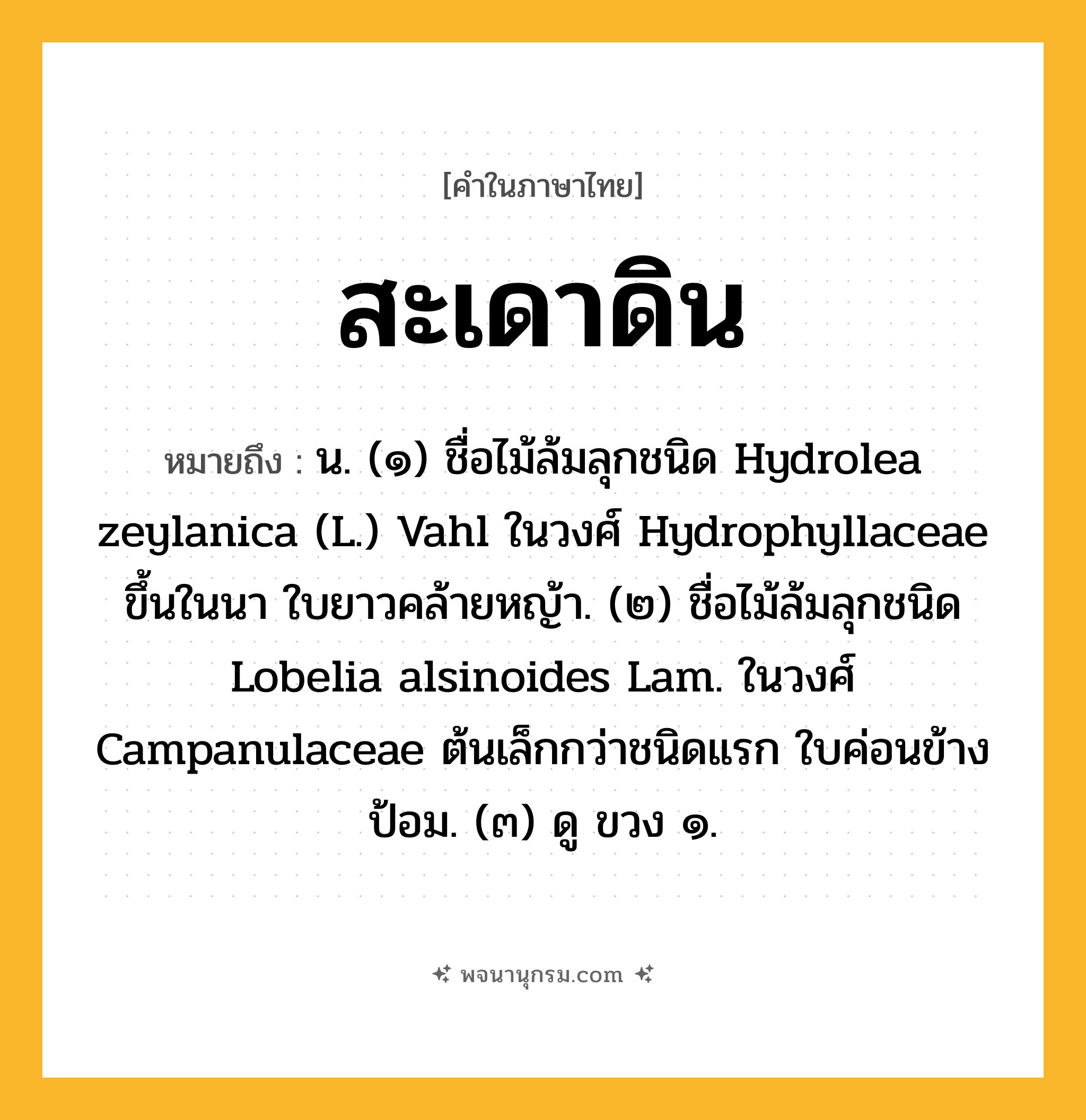 สะเดาดิน ความหมาย หมายถึงอะไร?, คำในภาษาไทย สะเดาดิน หมายถึง น. (๑) ชื่อไม้ล้มลุกชนิด Hydrolea zeylanica (L.) Vahl ในวงศ์ Hydrophyllaceae ขึ้นในนา ใบยาวคล้ายหญ้า. (๒) ชื่อไม้ล้มลุกชนิด Lobelia alsinoides Lam. ในวงศ์ Campanulaceae ต้นเล็กกว่าชนิดแรก ใบค่อนข้างป้อม. (๓) ดู ขวง ๑.