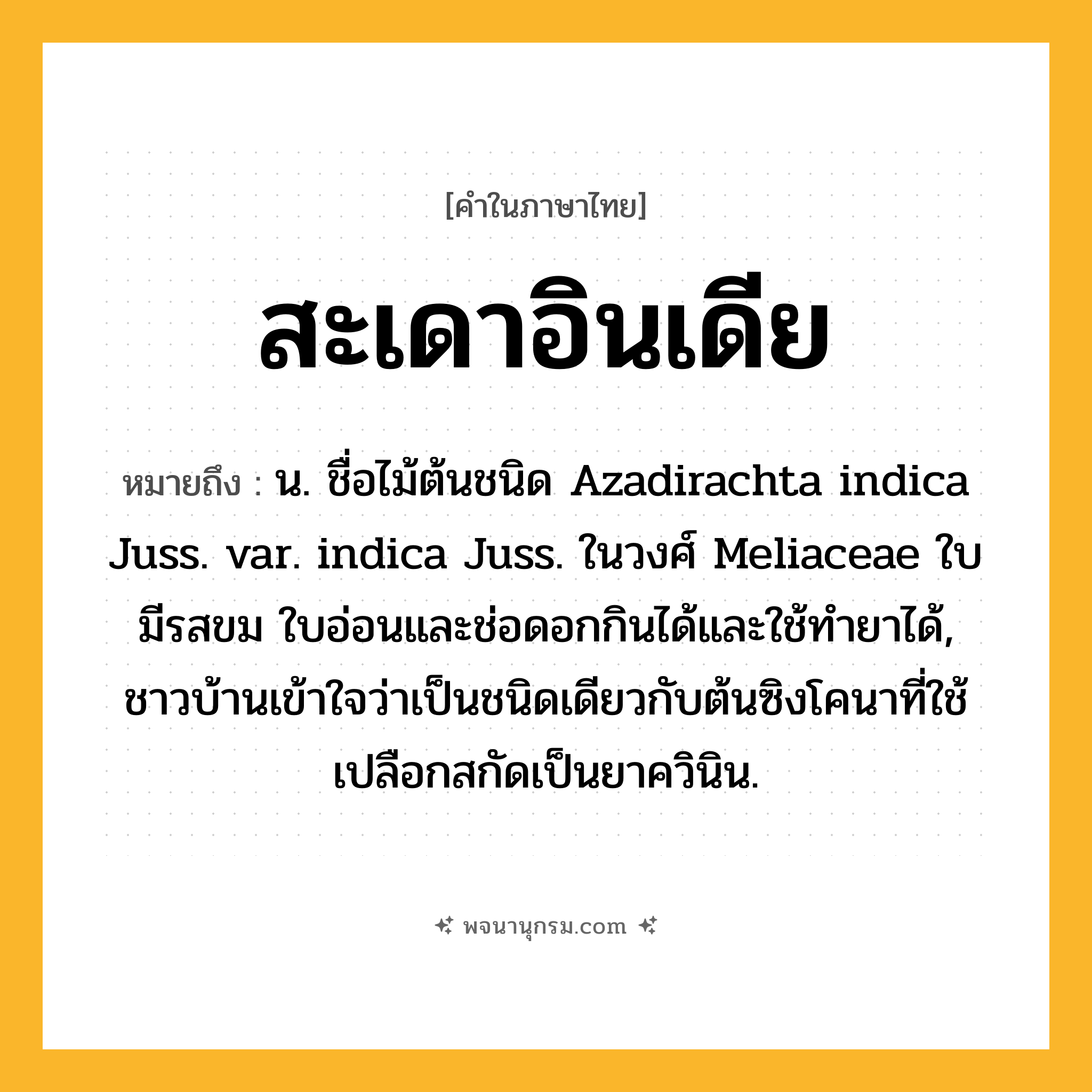 สะเดาอินเดีย ความหมาย หมายถึงอะไร?, คำในภาษาไทย สะเดาอินเดีย หมายถึง น. ชื่อไม้ต้นชนิด Azadirachta indica Juss. var. indica Juss. ในวงศ์ Meliaceae ใบมีรสขม ใบอ่อนและช่อดอกกินได้และใช้ทํายาได้, ชาวบ้านเข้าใจว่าเป็นชนิดเดียวกับต้นซิงโคนาที่ใช้เปลือกสกัดเป็นยาควินิน.