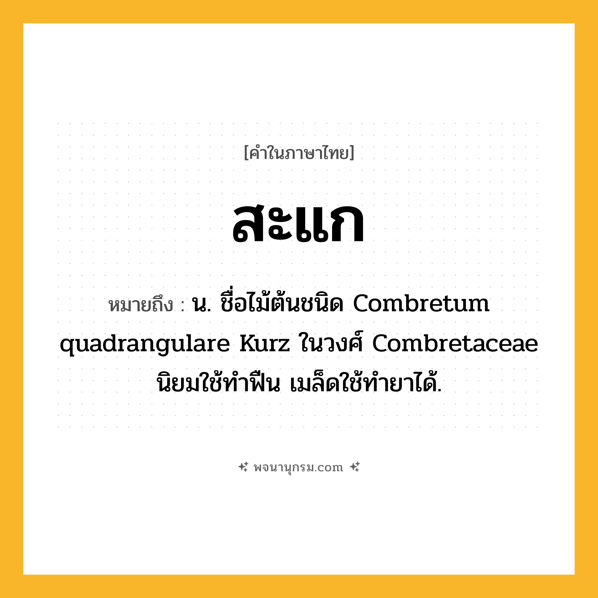สะแก ความหมาย หมายถึงอะไร?, คำในภาษาไทย สะแก หมายถึง น. ชื่อไม้ต้นชนิด Combretum quadrangulare Kurz ในวงศ์ Combretaceae นิยมใช้ทําฟืน เมล็ดใช้ทํายาได้.