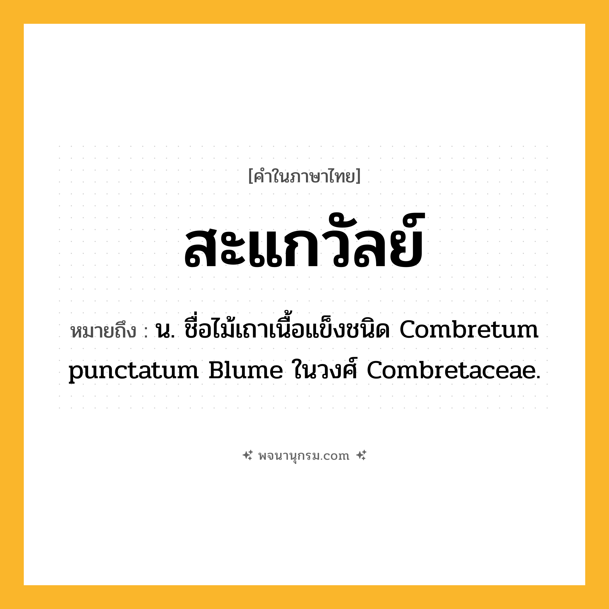สะแกวัลย์ ความหมาย หมายถึงอะไร?, คำในภาษาไทย สะแกวัลย์ หมายถึง น. ชื่อไม้เถาเนื้อแข็งชนิด Combretum punctatum Blume ในวงศ์ Combretaceae.