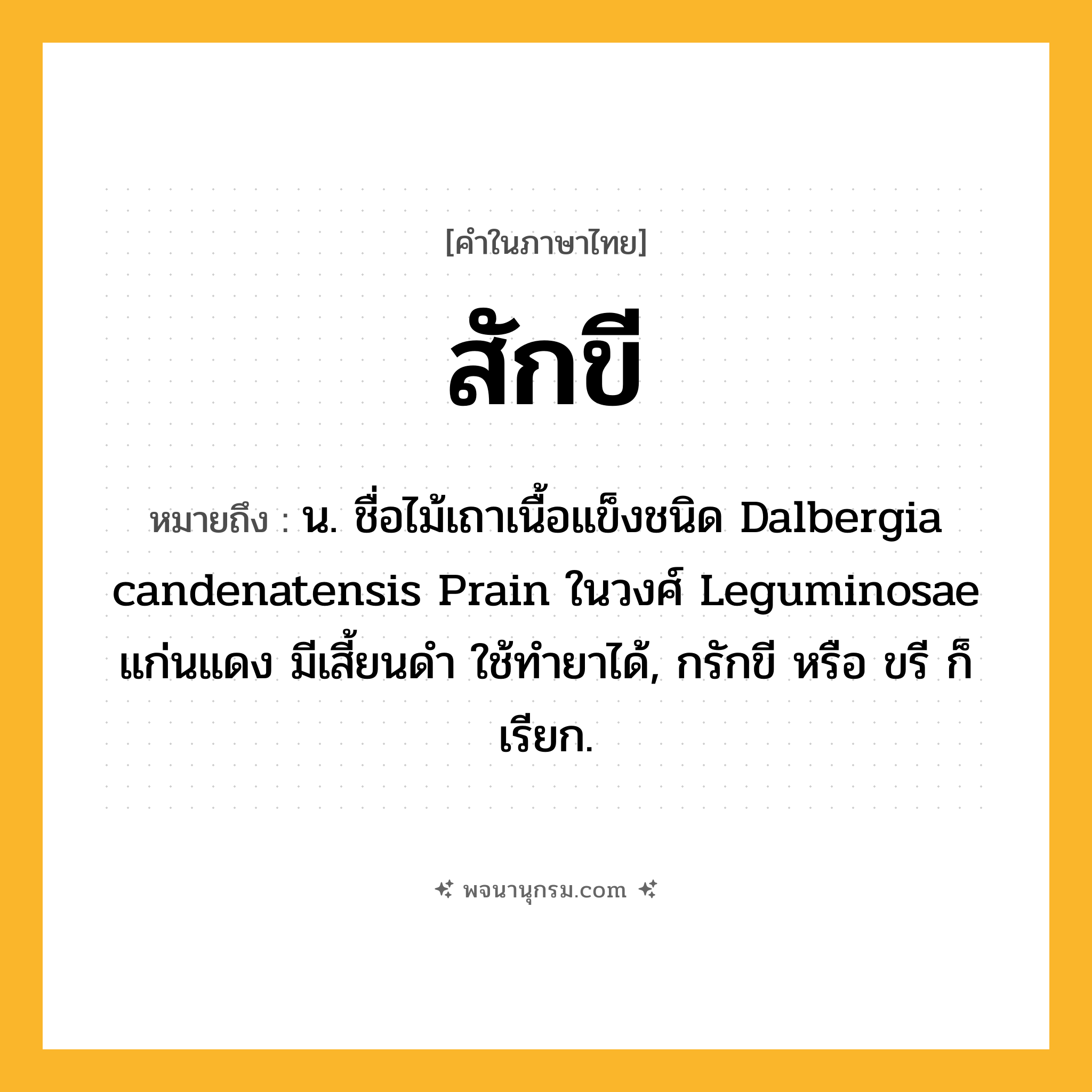 สักขี ความหมาย หมายถึงอะไร?, คำในภาษาไทย สักขี หมายถึง น. ชื่อไม้เถาเนื้อแข็งชนิด Dalbergia candenatensis Prain ในวงศ์ Leguminosae แก่นแดง มีเสี้ยนดํา ใช้ทํายาได้, กรักขี หรือ ขรี ก็เรียก.