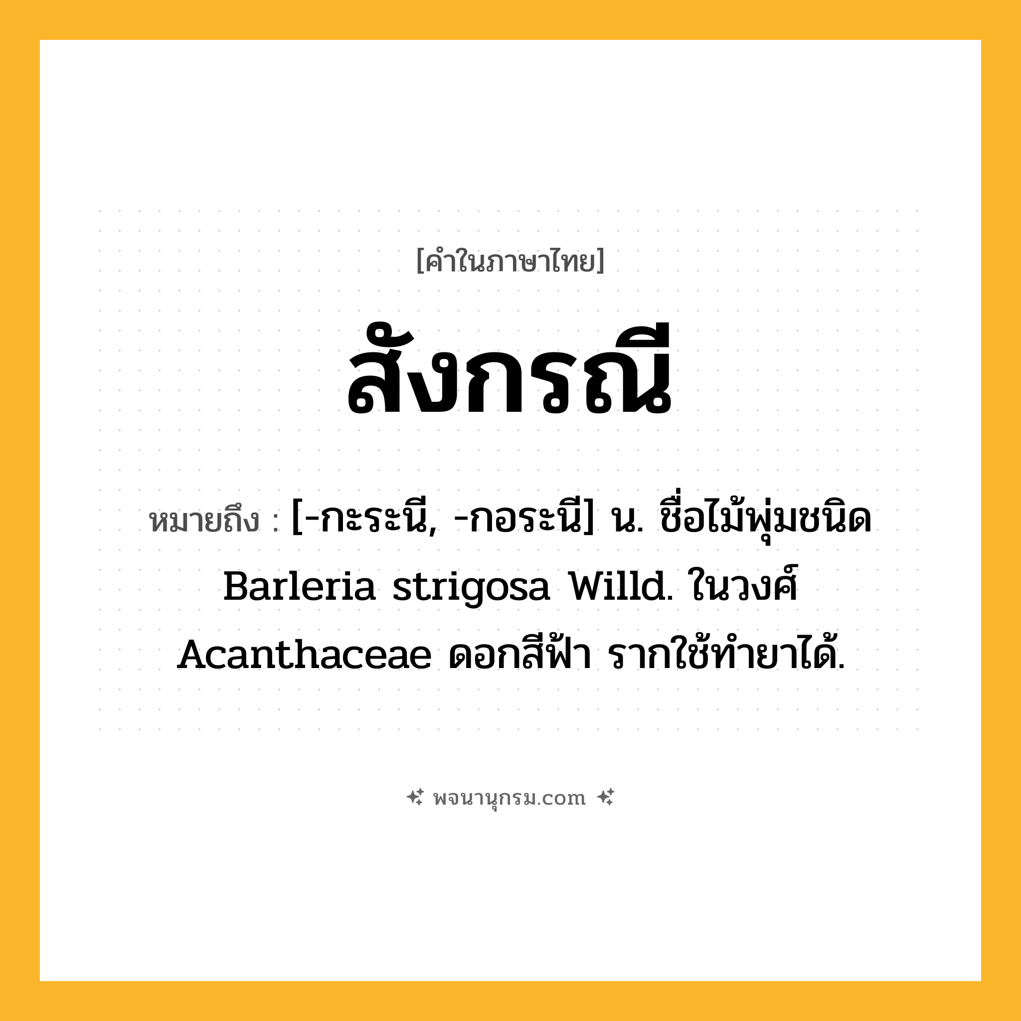 สังกรณี ความหมาย หมายถึงอะไร?, คำในภาษาไทย สังกรณี หมายถึง [-กะระนี, -กอระนี] น. ชื่อไม้พุ่มชนิด Barleria strigosa Willd. ในวงศ์ Acanthaceae ดอกสีฟ้า รากใช้ทํายาได้.