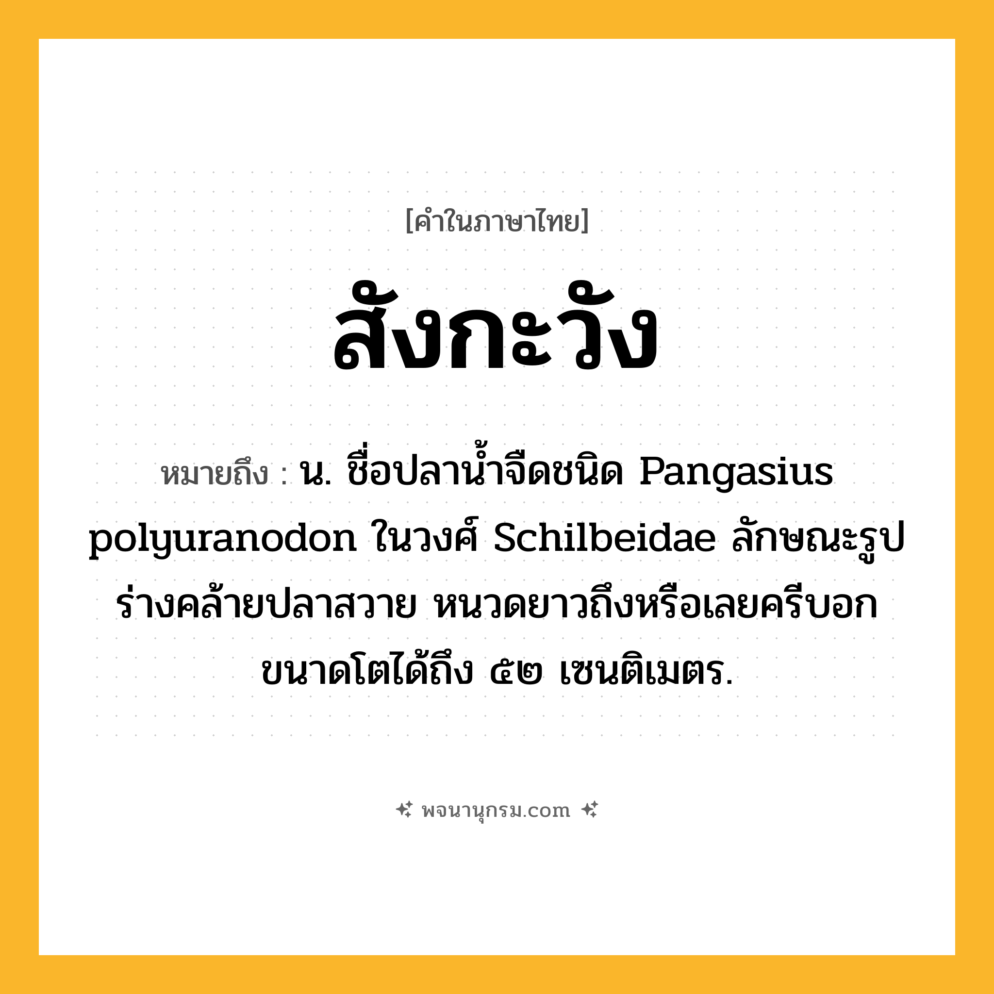 สังกะวัง ความหมาย หมายถึงอะไร?, คำในภาษาไทย สังกะวัง หมายถึง น. ชื่อปลานํ้าจืดชนิด Pangasius polyuranodon ในวงศ์ Schilbeidae ลักษณะรูปร่างคล้ายปลาสวาย หนวดยาวถึงหรือเลยครีบอก ขนาดโตได้ถึง ๕๒ เซนติเมตร.