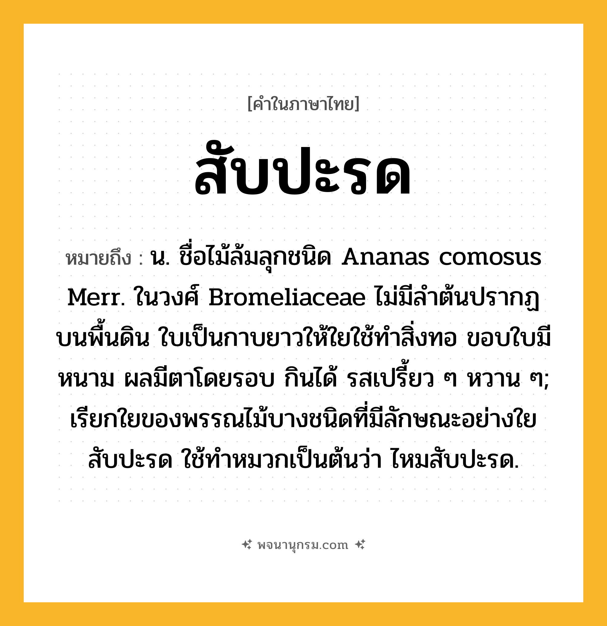 สับปะรด ความหมาย หมายถึงอะไร?, คำในภาษาไทย สับปะรด หมายถึง น. ชื่อไม้ล้มลุกชนิด Ananas comosus Merr. ในวงศ์ Bromeliaceae ไม่มีลําต้นปรากฏบนพื้นดิน ใบเป็นกาบยาวให้ใยใช้ทําสิ่งทอ ขอบใบมีหนาม ผลมีตาโดยรอบ กินได้ รสเปรี้ยว ๆ หวาน ๆ; เรียกใยของพรรณไม้บางชนิดที่มีลักษณะอย่างใยสับปะรด ใช้ทำหมวกเป็นต้นว่า ไหมสับปะรด.