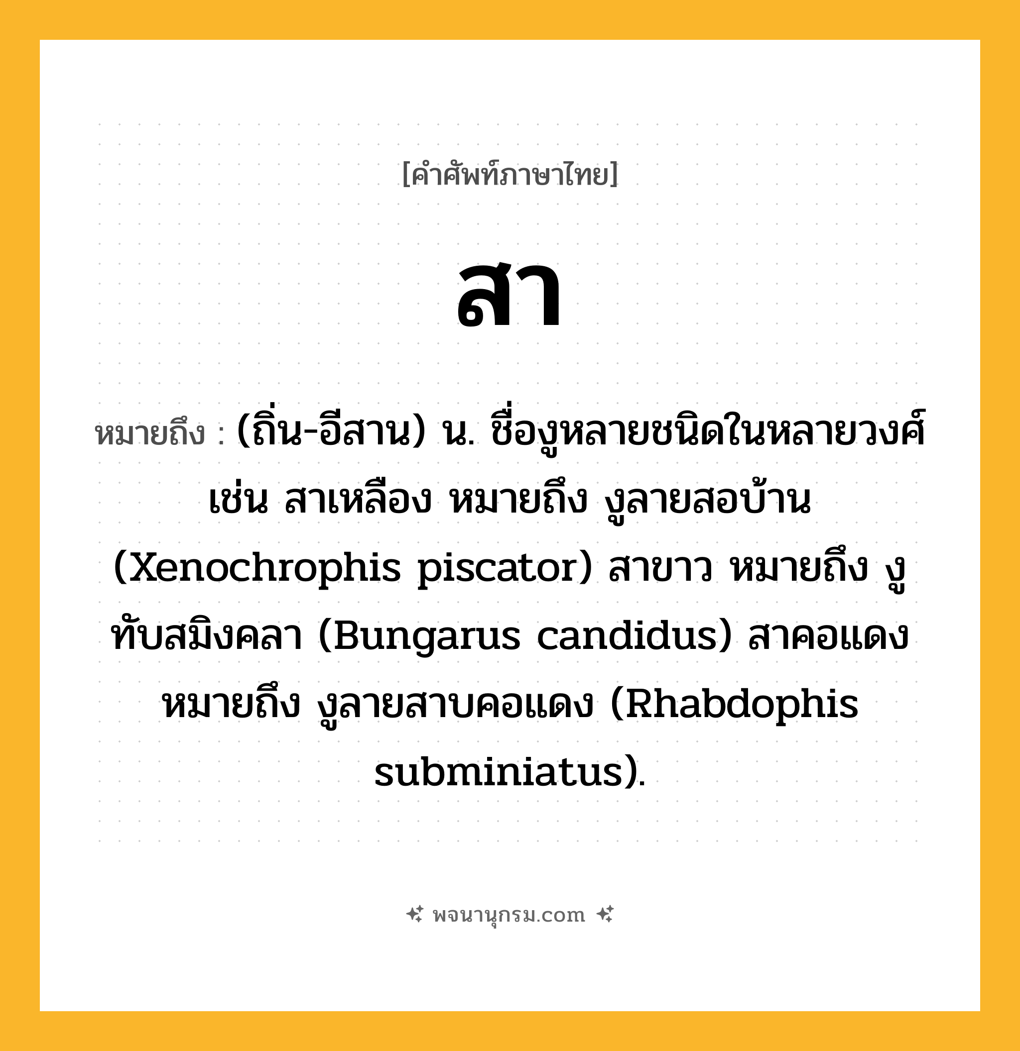 สา ความหมาย หมายถึงอะไร?, คำในภาษาไทย สา หมายถึง (ถิ่น-อีสาน) น. ชื่องูหลายชนิดในหลายวงศ์ เช่น สาเหลือง หมายถึง งูลายสอบ้าน (Xenochrophis piscator) สาขาว หมายถึง งูทับสมิงคลา (Bungarus candidus) สาคอแดง หมายถึง งูลายสาบคอแดง (Rhabdophis subminiatus).