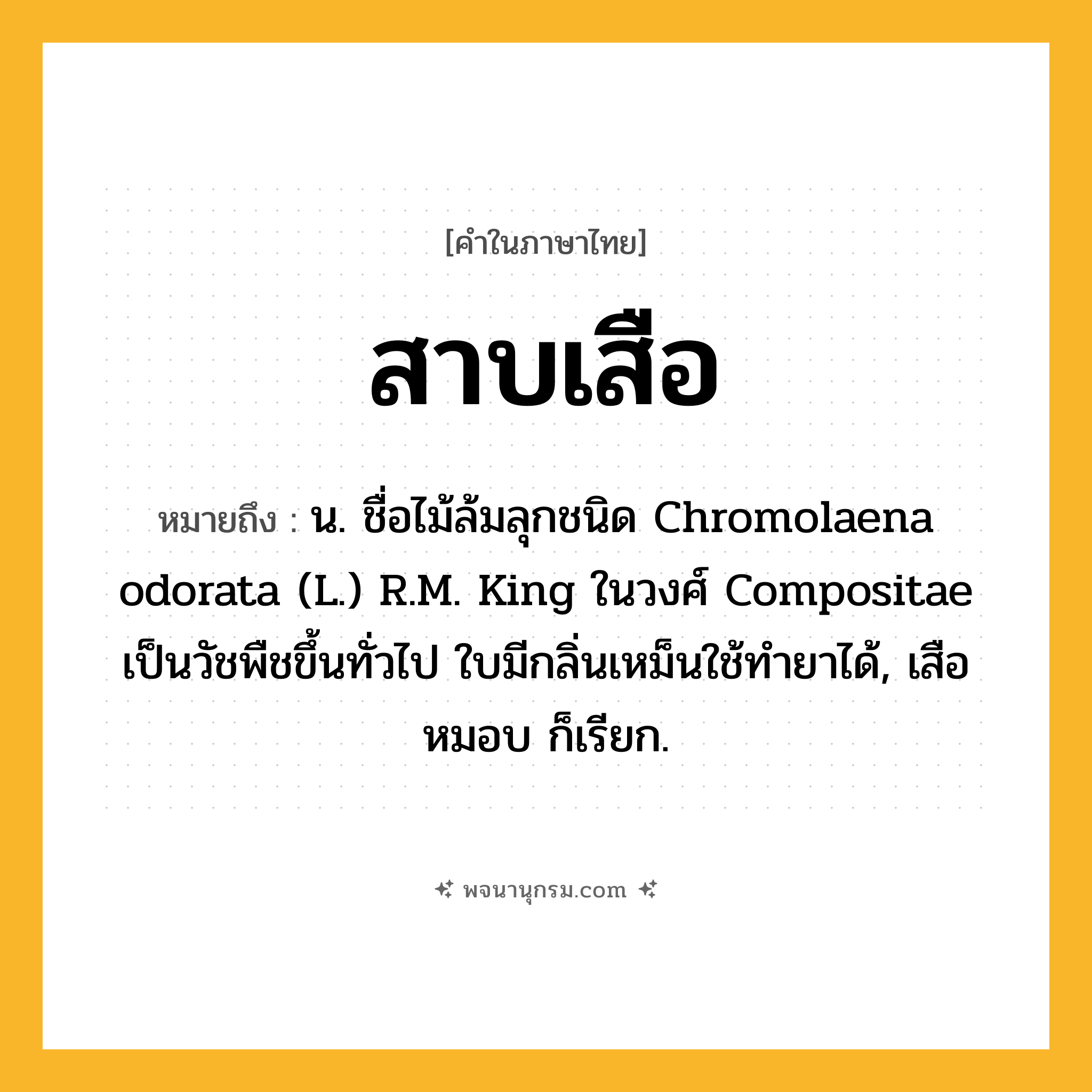 สาบเสือ ความหมาย หมายถึงอะไร?, คำในภาษาไทย สาบเสือ หมายถึง น. ชื่อไม้ล้มลุกชนิด Chromolaena odorata (L.) R.M. King ในวงศ์ Compositae เป็นวัชพืชขึ้นทั่วไป ใบมีกลิ่นเหม็นใช้ทํายาได้, เสือหมอบ ก็เรียก.
