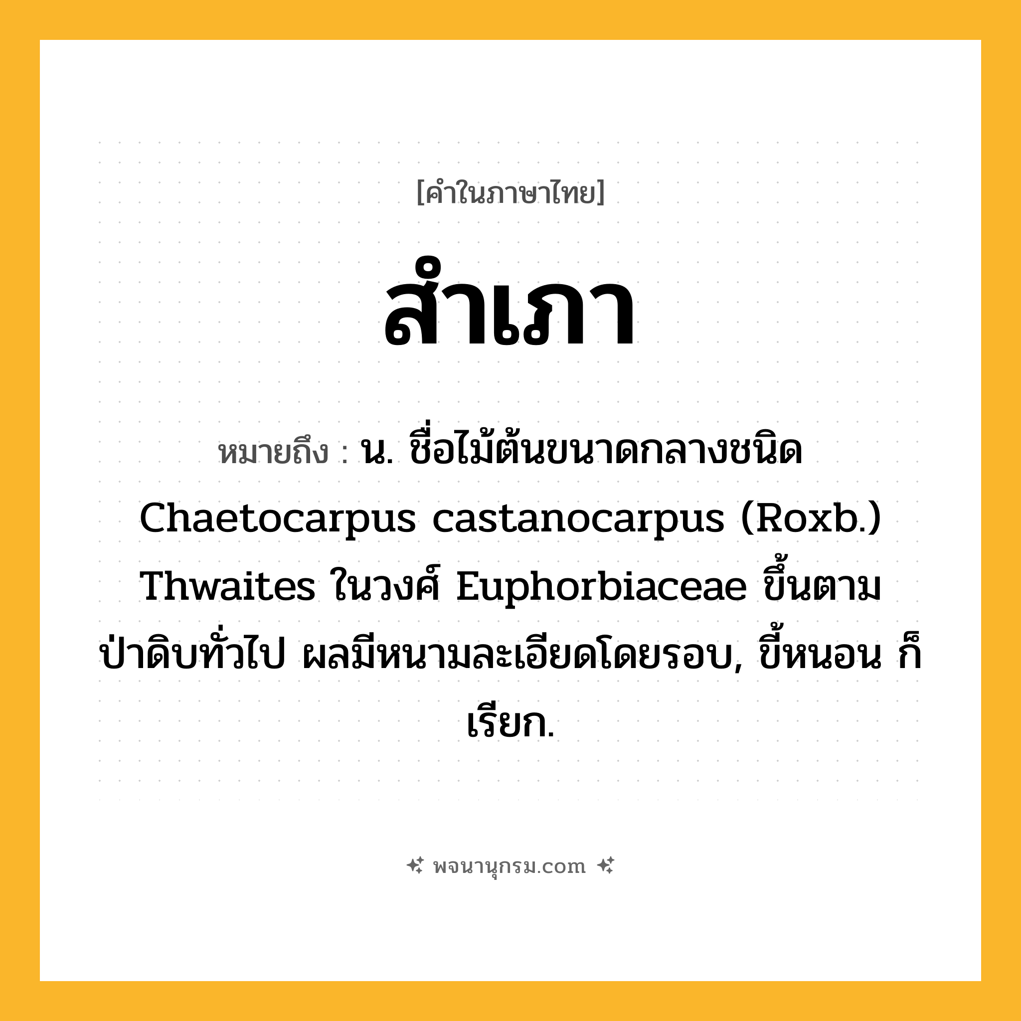 สำเภา ความหมาย หมายถึงอะไร?, คำในภาษาไทย สำเภา หมายถึง น. ชื่อไม้ต้นขนาดกลางชนิด Chaetocarpus castanocarpus (Roxb.) Thwaites ในวงศ์ Euphorbiaceae ขึ้นตามป่าดิบทั่วไป ผลมีหนามละเอียดโดยรอบ, ขี้หนอน ก็เรียก.