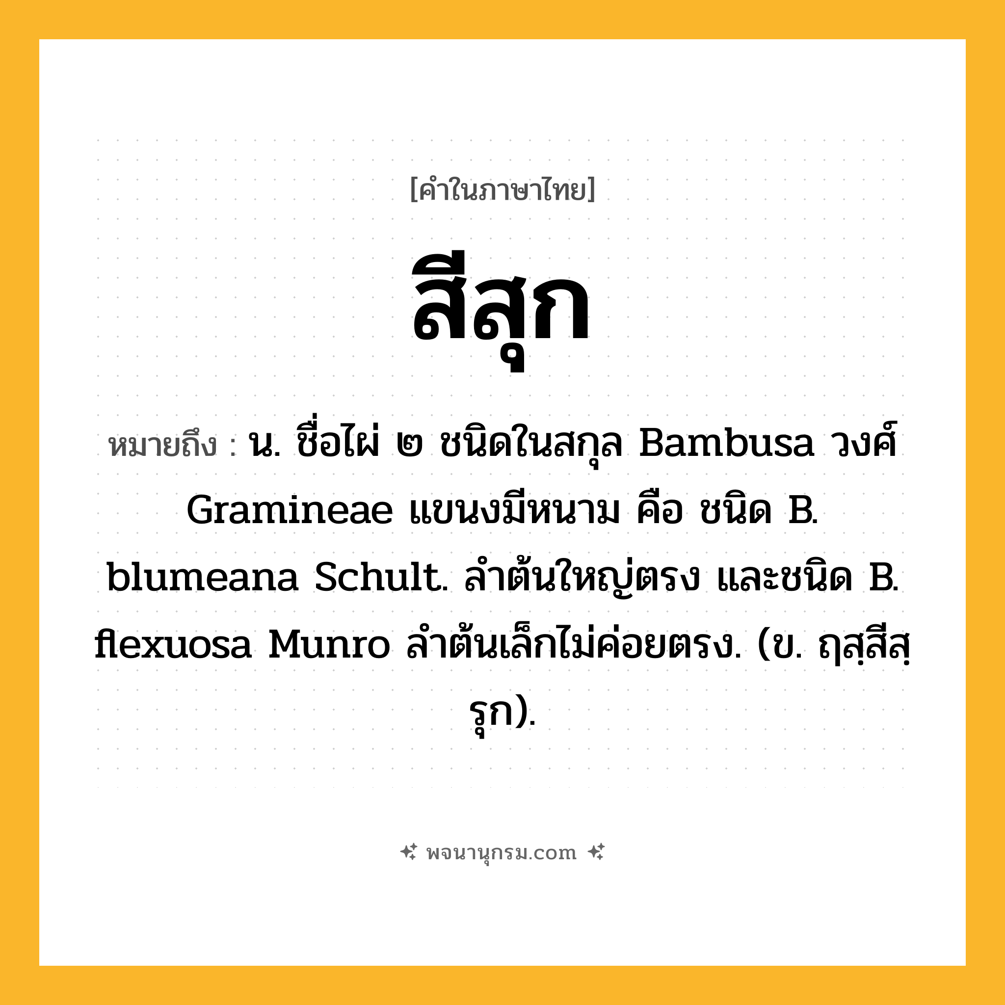 สีสุก ความหมาย หมายถึงอะไร?, คำในภาษาไทย สีสุก หมายถึง น. ชื่อไผ่ ๒ ชนิดในสกุล Bambusa วงศ์ Gramineae แขนงมีหนาม คือ ชนิด B. blumeana Schult. ลําต้นใหญ่ตรง และชนิด B. flexuosa Munro ลําต้นเล็กไม่ค่อยตรง. (ข. ฤสฺสีสฺรุก).