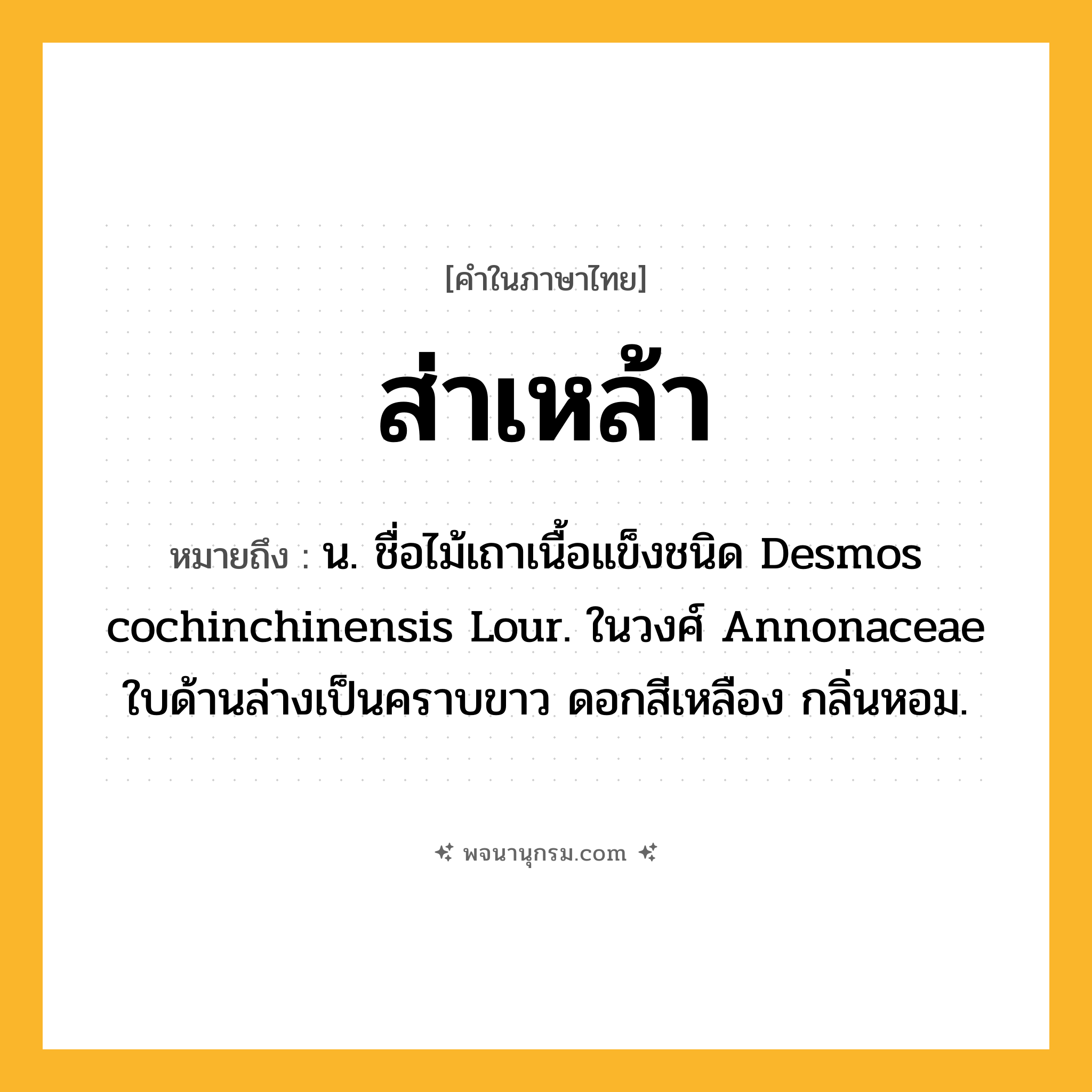 ส่าเหล้า ความหมาย หมายถึงอะไร?, คำในภาษาไทย ส่าเหล้า หมายถึง น. ชื่อไม้เถาเนื้อแข็งชนิด Desmos cochinchinensis Lour. ในวงศ์ Annonaceae ใบด้านล่างเป็นคราบขาว ดอกสีเหลือง กลิ่นหอม.