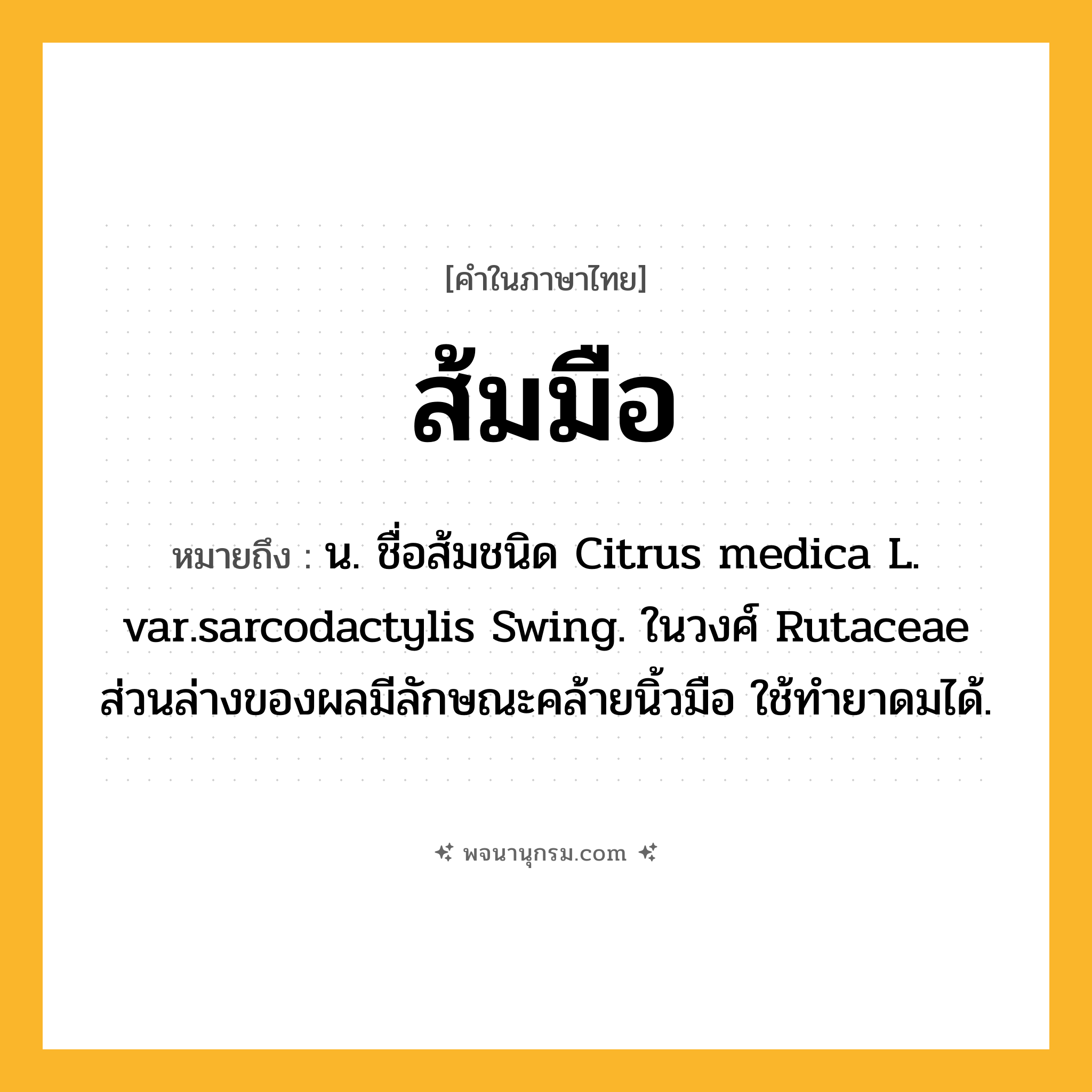 ส้มมือ ความหมาย หมายถึงอะไร?, คำในภาษาไทย ส้มมือ หมายถึง น. ชื่อส้มชนิด Citrus medica L. var.sarcodactylis Swing. ในวงศ์ Rutaceae ส่วนล่างของผลมีลักษณะคล้ายนิ้วมือ ใช้ทํายาดมได้.
