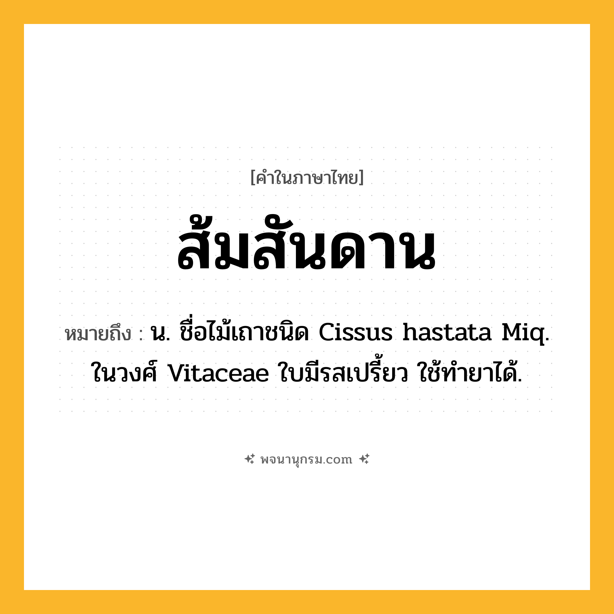 ส้มสันดาน ความหมาย หมายถึงอะไร?, คำในภาษาไทย ส้มสันดาน หมายถึง น. ชื่อไม้เถาชนิด Cissus hastata Miq. ในวงศ์ Vitaceae ใบมีรสเปรี้ยว ใช้ทํายาได้.