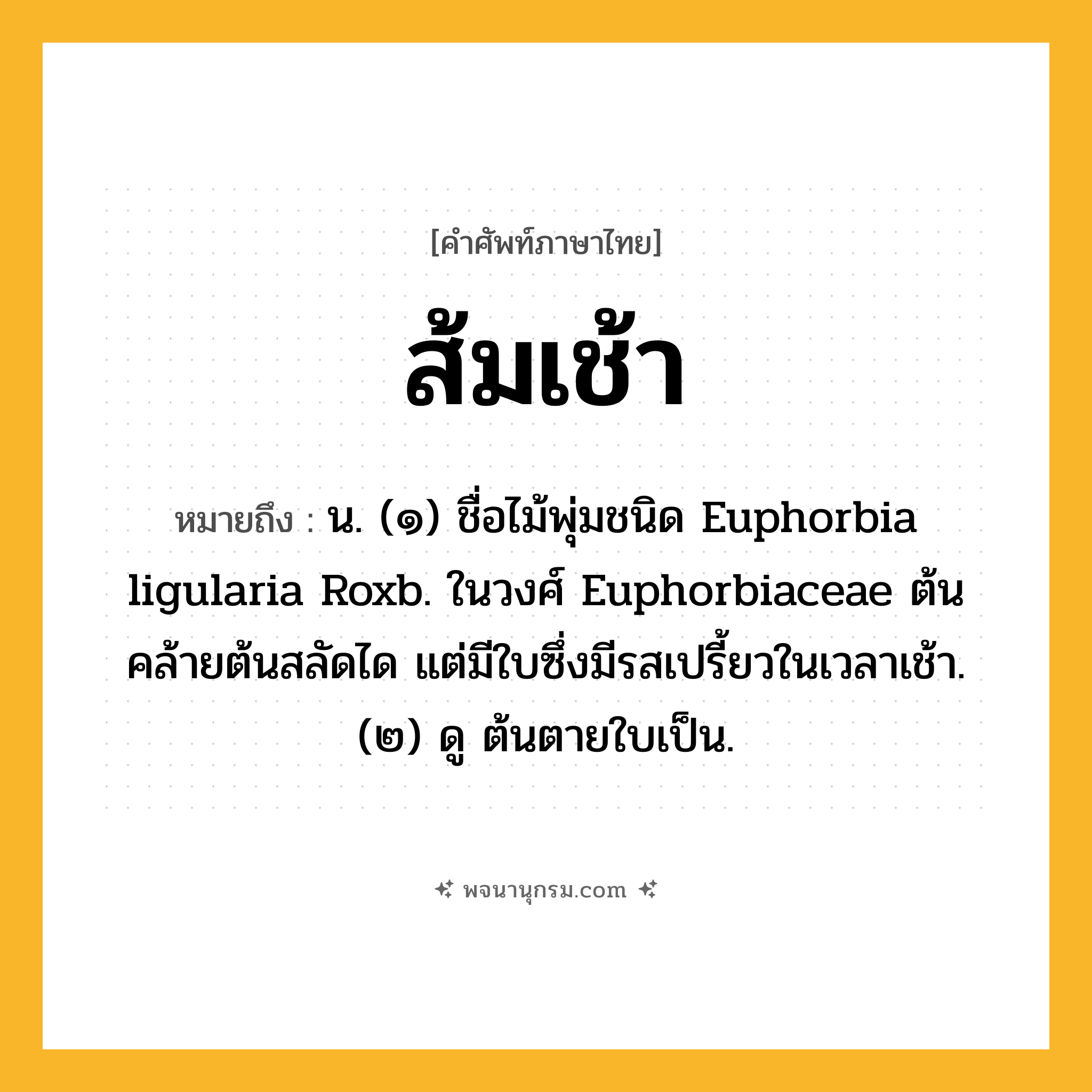 ส้มเช้า ความหมาย หมายถึงอะไร?, คำในภาษาไทย ส้มเช้า หมายถึง น. (๑) ชื่อไม้พุ่มชนิด Euphorbia ligularia Roxb. ในวงศ์ Euphorbiaceae ต้นคล้ายต้นสลัดได แต่มีใบซึ่งมีรสเปรี้ยวในเวลาเช้า. (๒) ดู ต้นตายใบเป็น.