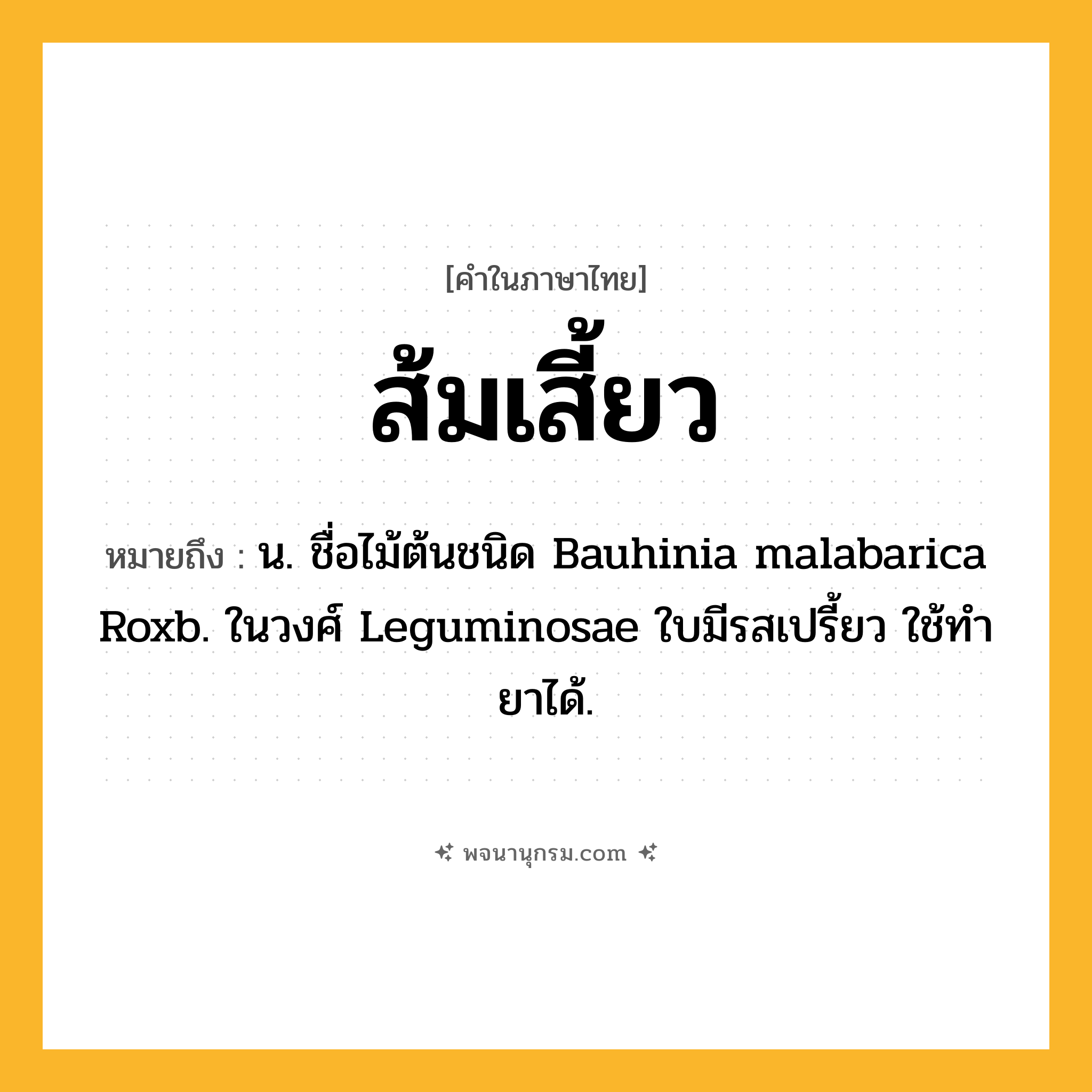 ส้มเสี้ยว ความหมาย หมายถึงอะไร?, คำในภาษาไทย ส้มเสี้ยว หมายถึง น. ชื่อไม้ต้นชนิด Bauhinia malabarica Roxb. ในวงศ์ Leguminosae ใบมีรสเปรี้ยว ใช้ทํายาได้.