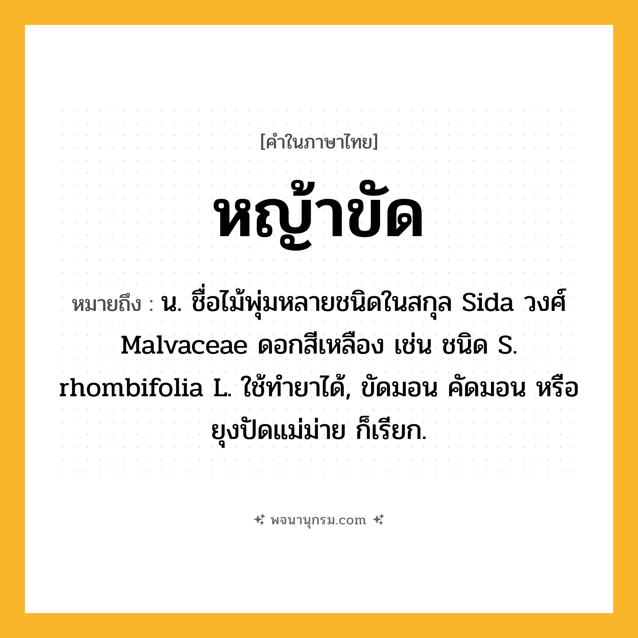 หญ้าขัด ความหมาย หมายถึงอะไร?, คำในภาษาไทย หญ้าขัด หมายถึง น. ชื่อไม้พุ่มหลายชนิดในสกุล Sida วงศ์ Malvaceae ดอกสีเหลือง เช่น ชนิด S. rhombifolia L. ใช้ทํายาได้, ขัดมอน คัดมอน หรือ ยุงปัดแม่ม่าย ก็เรียก.