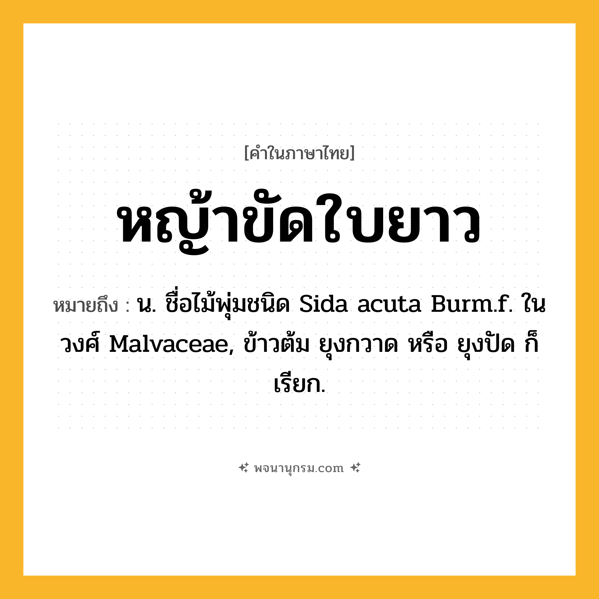 หญ้าขัดใบยาว ความหมาย หมายถึงอะไร?, คำในภาษาไทย หญ้าขัดใบยาว หมายถึง น. ชื่อไม้พุ่มชนิด Sida acuta Burm.f. ในวงศ์ Malvaceae, ข้าวต้ม ยุงกวาด หรือ ยุงปัด ก็เรียก.