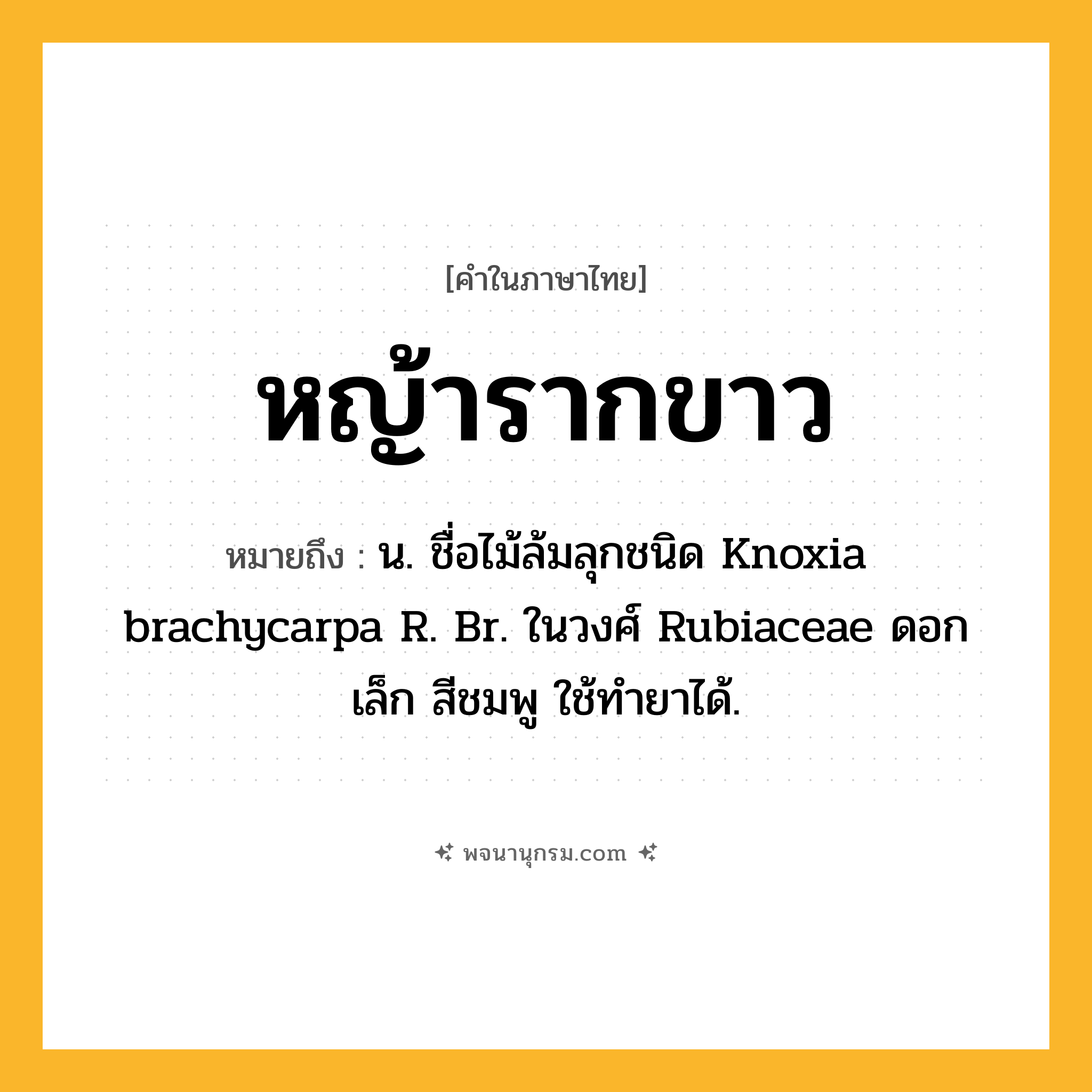 หญ้ารากขาว ความหมาย หมายถึงอะไร?, คำในภาษาไทย หญ้ารากขาว หมายถึง น. ชื่อไม้ล้มลุกชนิด Knoxia brachycarpa R. Br. ในวงศ์ Rubiaceae ดอกเล็ก สีชมพู ใช้ทํายาได้.