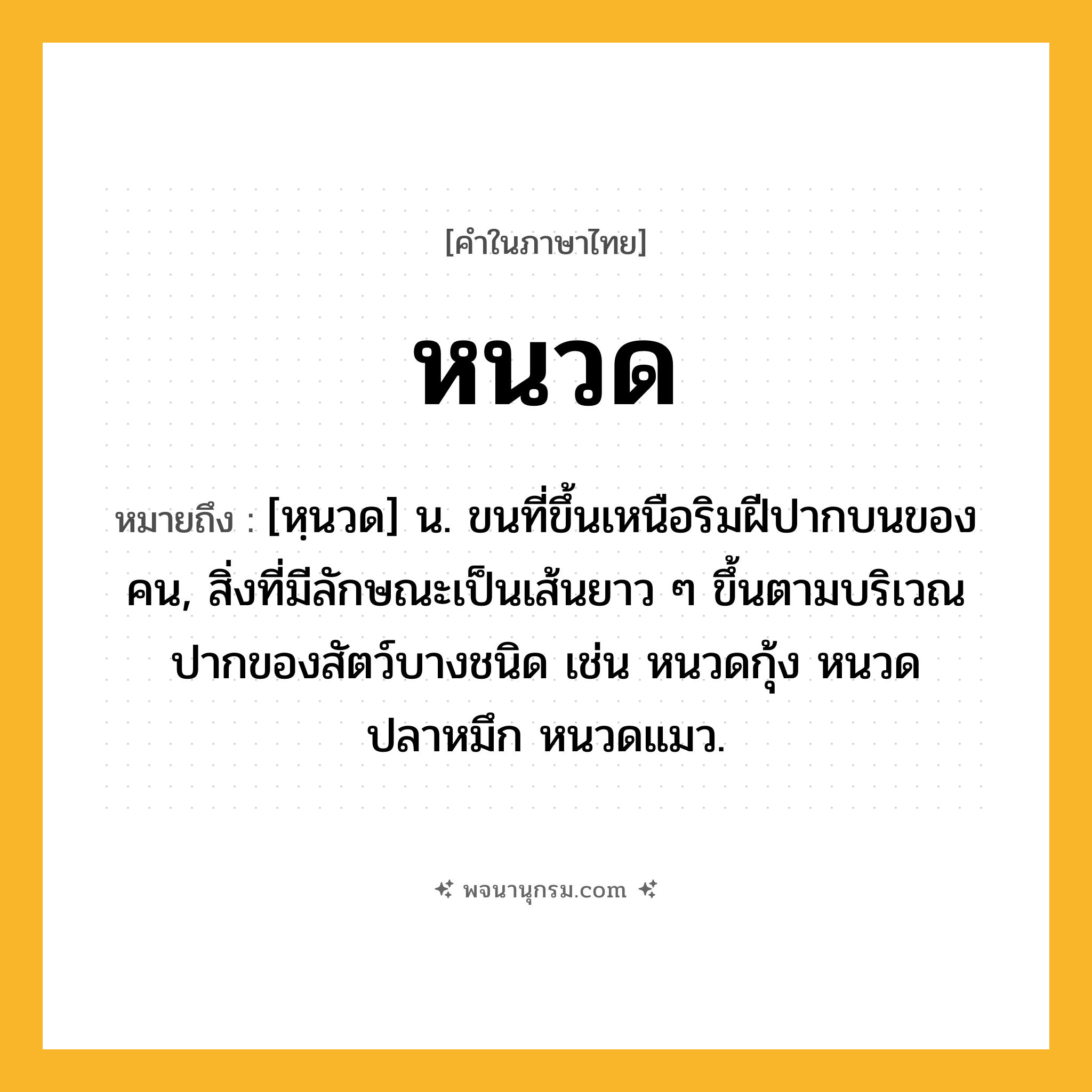 หนวด ความหมาย หมายถึงอะไร?, คำในภาษาไทย หนวด หมายถึง [หฺนวด] น. ขนที่ขึ้นเหนือริมฝีปากบนของคน, สิ่งที่มีลักษณะเป็นเส้นยาว ๆ ขึ้นตามบริเวณปากของสัตว์บางชนิด เช่น หนวดกุ้ง หนวดปลาหมึก หนวดแมว.