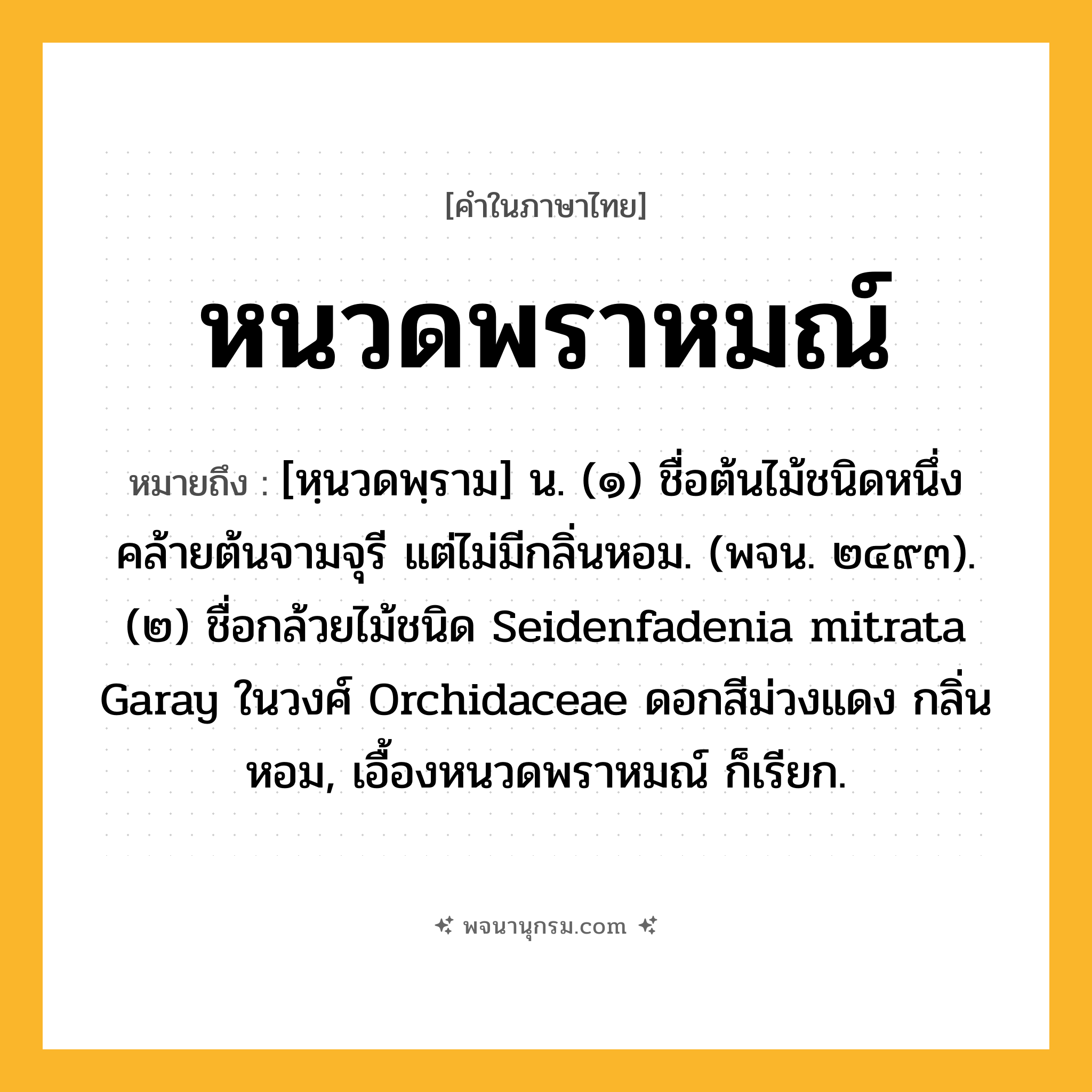 หนวดพราหมณ์ ความหมาย หมายถึงอะไร?, คำในภาษาไทย หนวดพราหมณ์ หมายถึง [หฺนวดพฺราม] น. (๑) ชื่อต้นไม้ชนิดหนึ่งคล้ายต้นจามจุรี แต่ไม่มีกลิ่นหอม. (พจน. ๒๔๙๓). (๒) ชื่อกล้วยไม้ชนิด Seidenfadenia mitrata Garay ในวงศ์ Orchidaceae ดอกสีม่วงแดง กลิ่นหอม, เอื้องหนวดพราหมณ์ ก็เรียก.