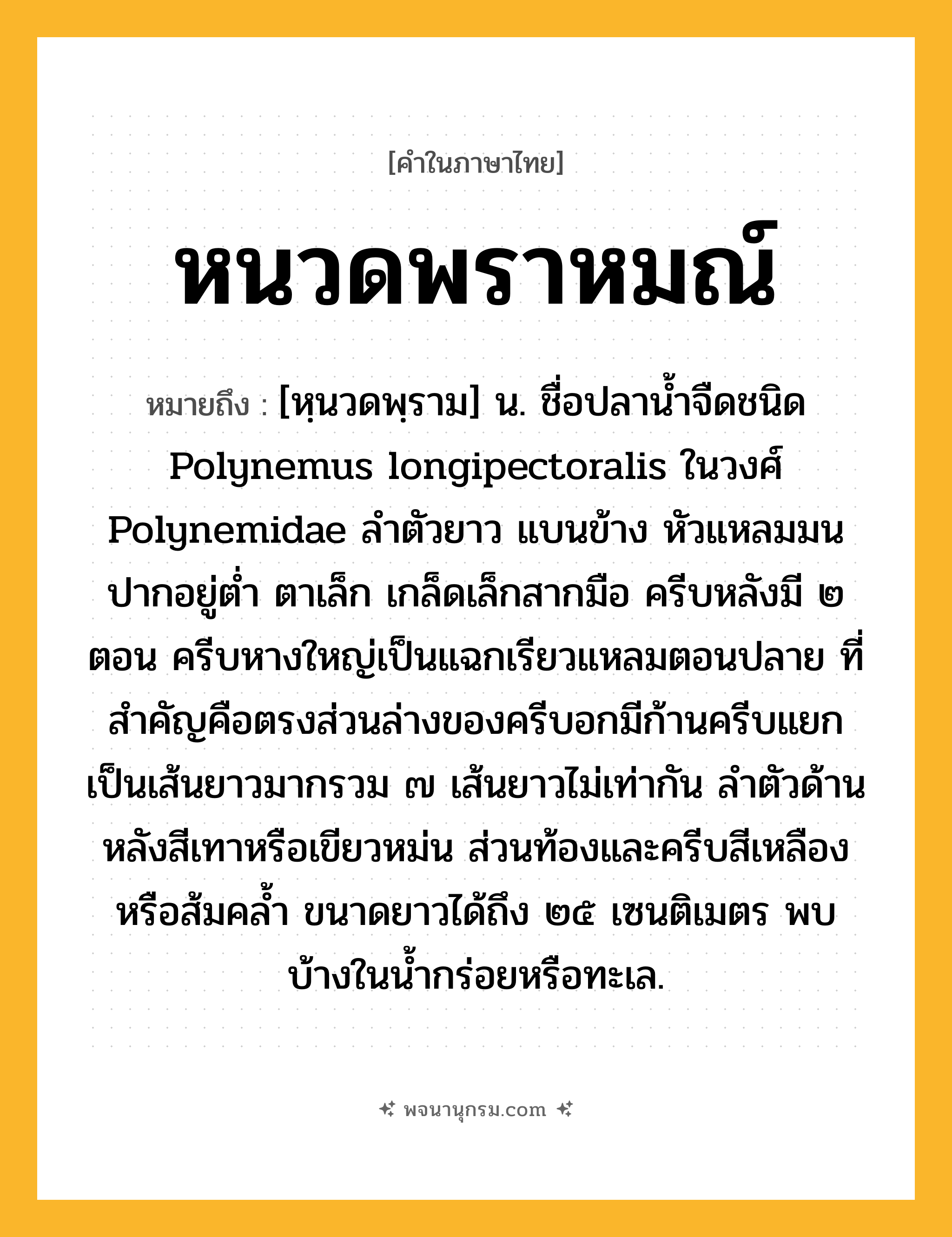หนวดพราหมณ์ ความหมาย หมายถึงอะไร?, คำในภาษาไทย หนวดพราหมณ์ หมายถึง [หฺนวดพฺราม] น. ชื่อปลานํ้าจืดชนิด Polynemus longipectoralis ในวงศ์ Polynemidae ลําตัวยาว แบนข้าง หัวแหลมมน ปากอยู่ตํ่า ตาเล็ก เกล็ดเล็กสากมือ ครีบหลังมี ๒ ตอน ครีบหางใหญ่เป็นแฉกเรียวแหลมตอนปลาย ที่สําคัญคือตรงส่วนล่างของครีบอกมีก้านครีบแยกเป็นเส้นยาวมากรวม ๗ เส้นยาวไม่เท่ากัน ลําตัวด้านหลังสีเทาหรือเขียวหม่น ส่วนท้องและครีบสีเหลืองหรือส้มคลํ้า ขนาดยาวได้ถึง ๒๕ เซนติเมตร พบบ้างในนํ้ากร่อยหรือทะเล.