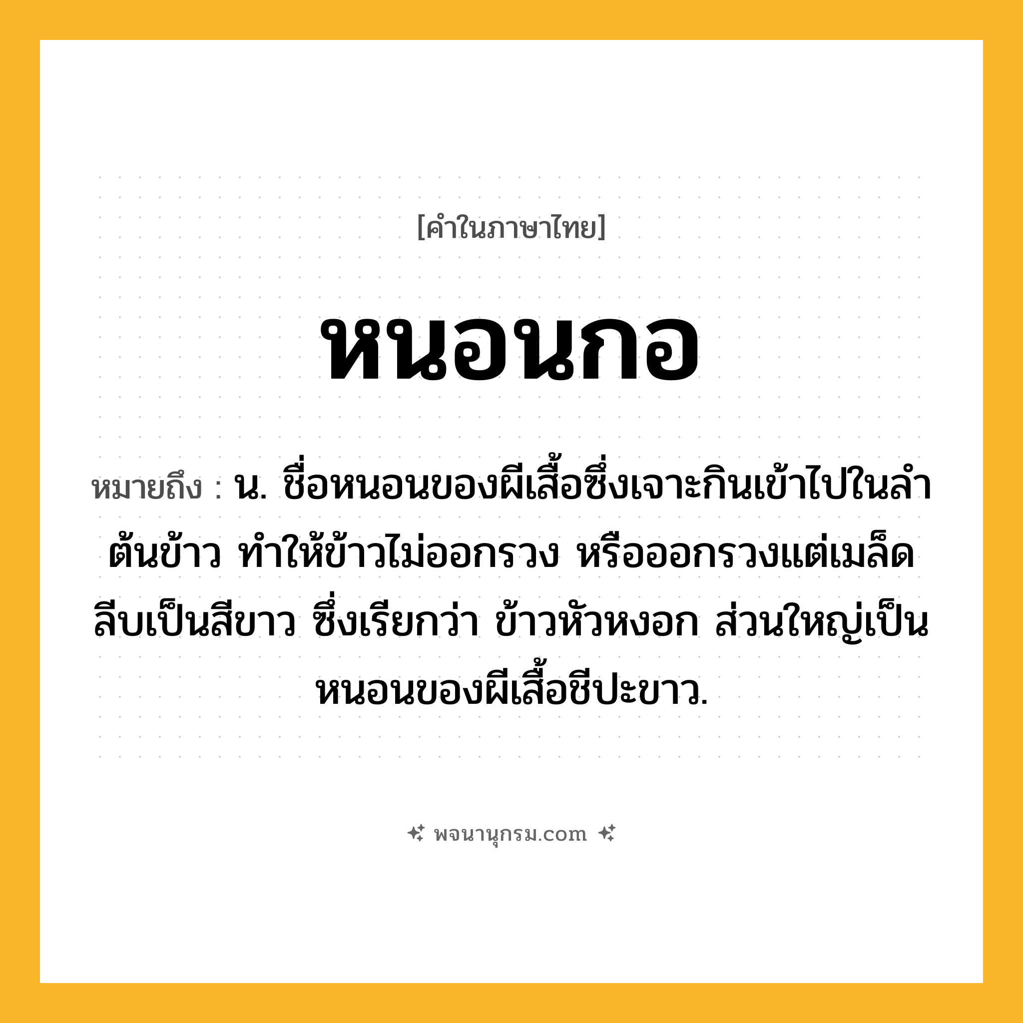 หนอนกอ ความหมาย หมายถึงอะไร?, คำในภาษาไทย หนอนกอ หมายถึง น. ชื่อหนอนของผีเสื้อซึ่งเจาะกินเข้าไปในลําต้นข้าว ทําให้ข้าวไม่ออกรวง หรือออกรวงแต่เมล็ดลีบเป็นสีขาว ซึ่งเรียกว่า ข้าวหัวหงอก ส่วนใหญ่เป็นหนอนของผีเสื้อชีปะขาว.