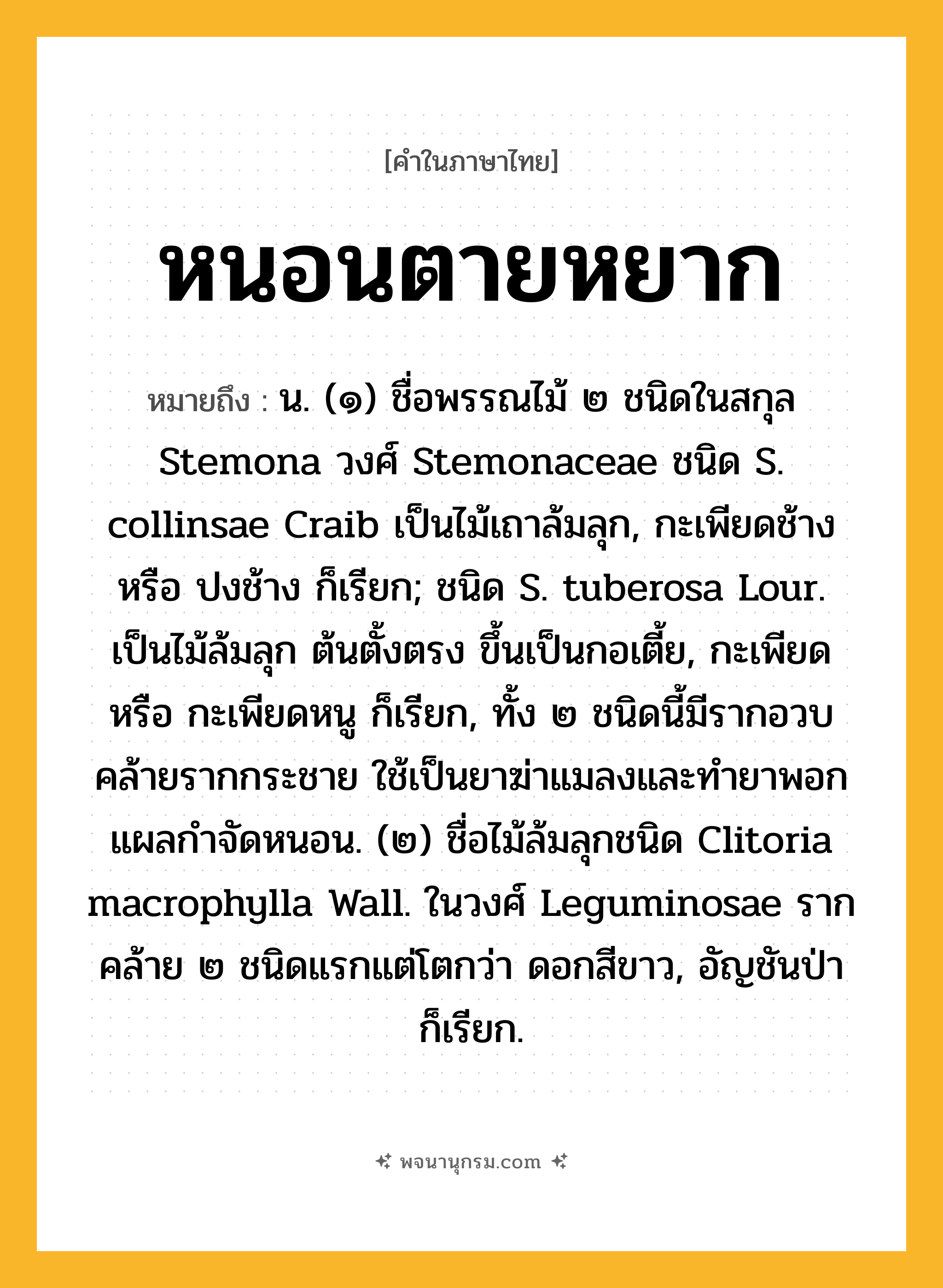 หนอนตายหยาก ความหมาย หมายถึงอะไร?, คำในภาษาไทย หนอนตายหยาก หมายถึง น. (๑) ชื่อพรรณไม้ ๒ ชนิดในสกุล Stemona วงศ์ Stemonaceae ชนิด S. collinsae Craib เป็นไม้เถาล้มลุก, กะเพียดช้าง หรือ ปงช้าง ก็เรียก; ชนิด S. tuberosa Lour. เป็นไม้ล้มลุก ต้นตั้งตรง ขึ้นเป็นกอเตี้ย, กะเพียด หรือ กะเพียดหนู ก็เรียก, ทั้ง ๒ ชนิดนี้มีรากอวบคล้ายรากกระชาย ใช้เป็นยาฆ่าแมลงและทํายาพอกแผลกําจัดหนอน. (๒) ชื่อไม้ล้มลุกชนิด Clitoria macrophylla Wall. ในวงศ์ Leguminosae รากคล้าย ๒ ชนิดแรกแต่โตกว่า ดอกสีขาว, อัญชันป่า ก็เรียก.