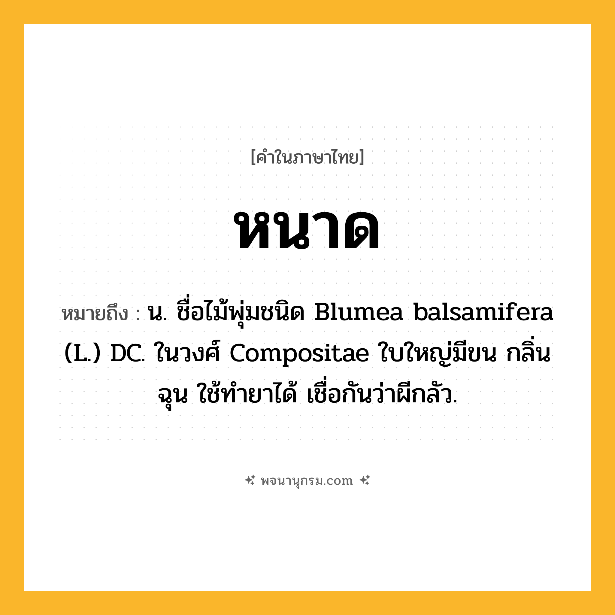 หนาด ความหมาย หมายถึงอะไร?, คำในภาษาไทย หนาด หมายถึง น. ชื่อไม้พุ่มชนิด Blumea balsamifera (L.) DC. ในวงศ์ Compositae ใบใหญ่มีขน กลิ่นฉุน ใช้ทํายาได้ เชื่อกันว่าผีกลัว.