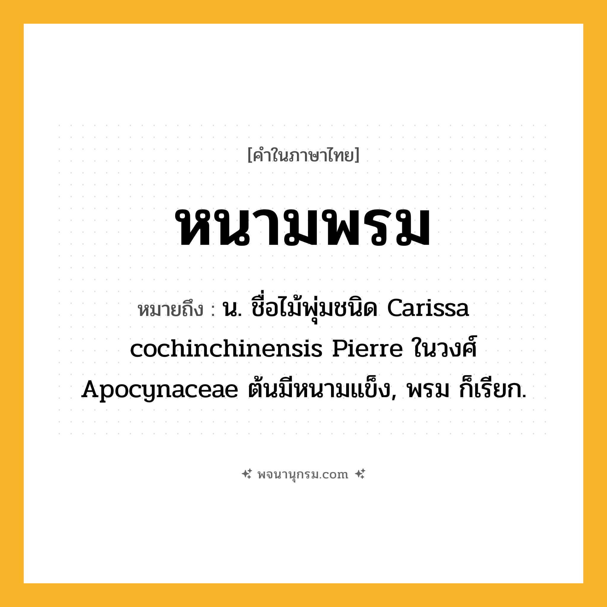 หนามพรม ความหมาย หมายถึงอะไร?, คำในภาษาไทย หนามพรม หมายถึง น. ชื่อไม้พุ่มชนิด Carissa cochinchinensis Pierre ในวงศ์ Apocynaceae ต้นมีหนามแข็ง, พรม ก็เรียก.
