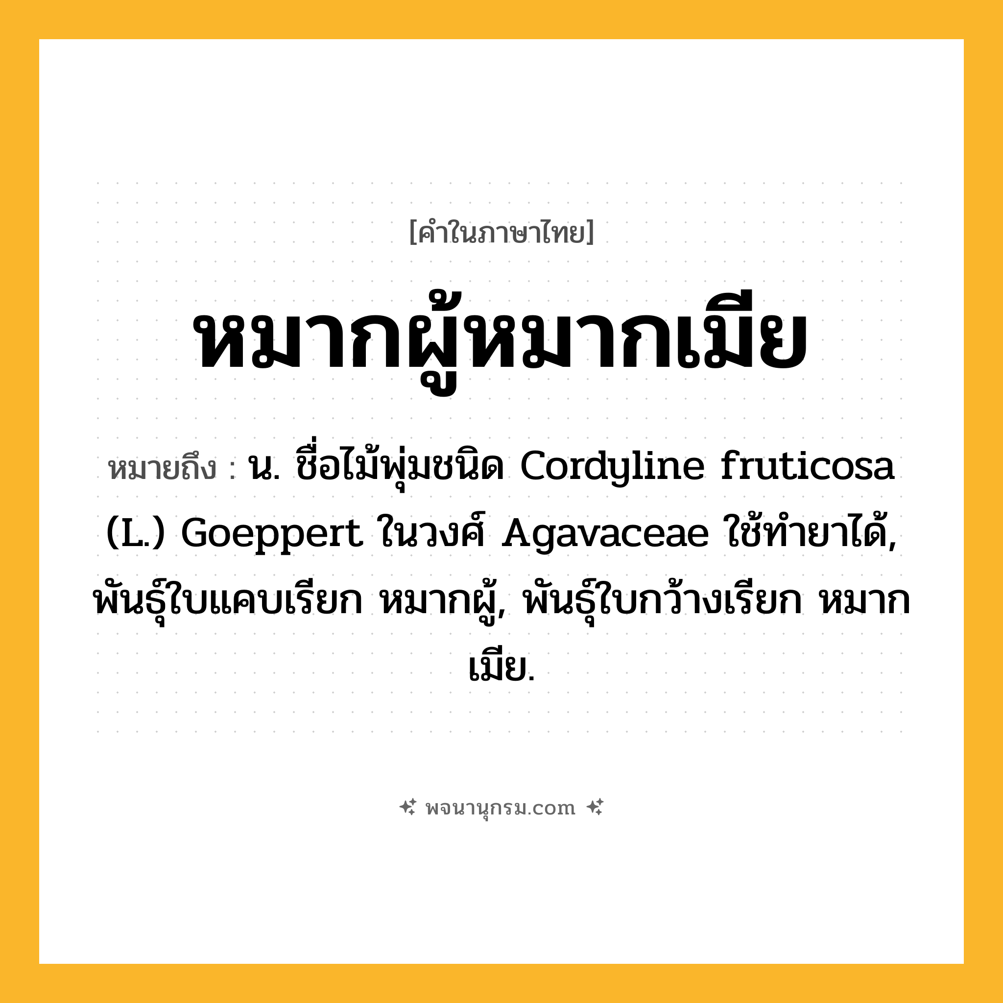 หมากผู้หมากเมีย ความหมาย หมายถึงอะไร?, คำในภาษาไทย หมากผู้หมากเมีย หมายถึง น. ชื่อไม้พุ่มชนิด Cordyline fruticosa (L.) Goeppert ในวงศ์ Agavaceae ใช้ทํายาได้, พันธุ์ใบแคบเรียก หมากผู้, พันธุ์ใบกว้างเรียก หมากเมีย.