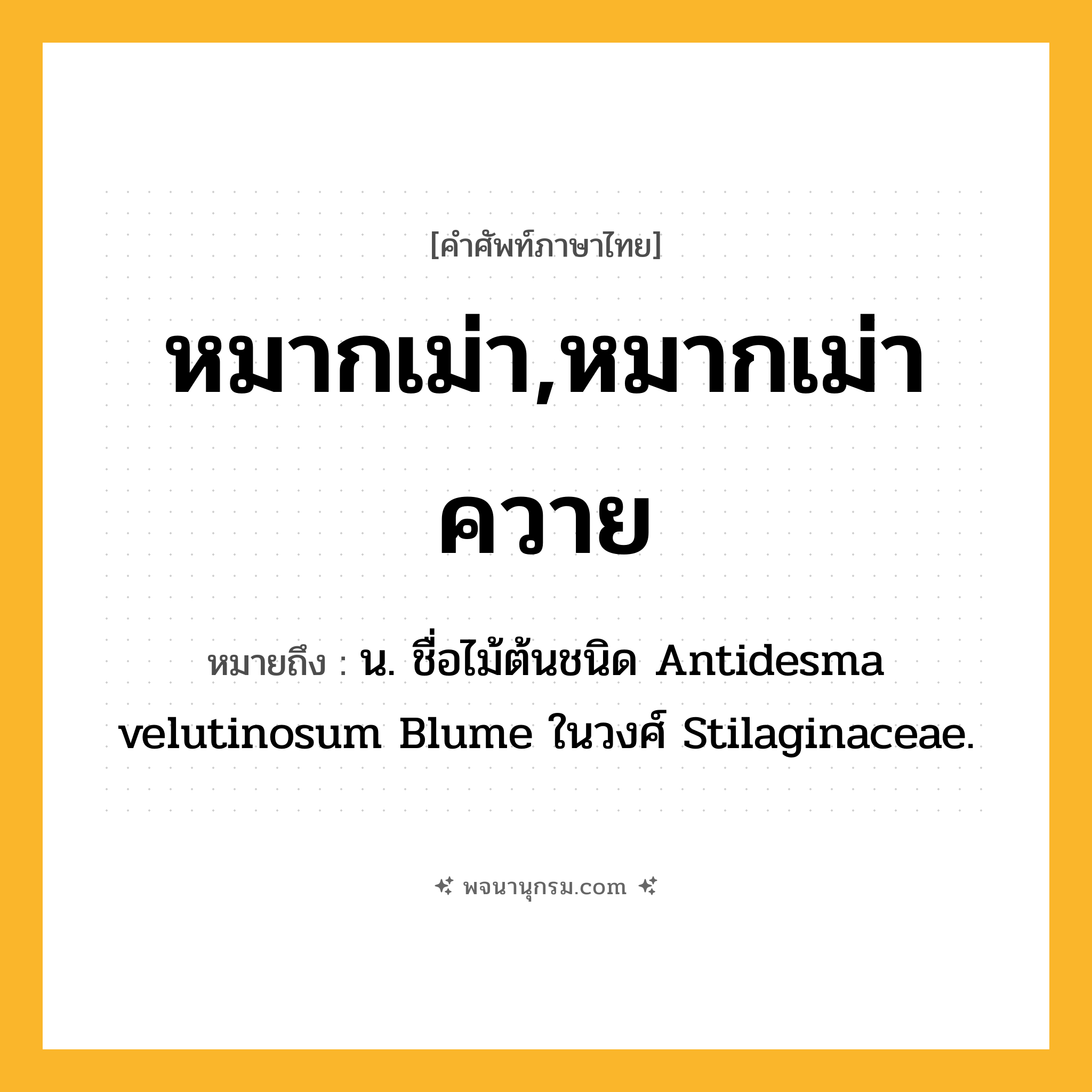 หมากเม่า,หมากเม่าควาย ความหมาย หมายถึงอะไร?, คำในภาษาไทย หมากเม่า,หมากเม่าควาย หมายถึง น. ชื่อไม้ต้นชนิด Antidesma velutinosum Blume ในวงศ์ Stilaginaceae.