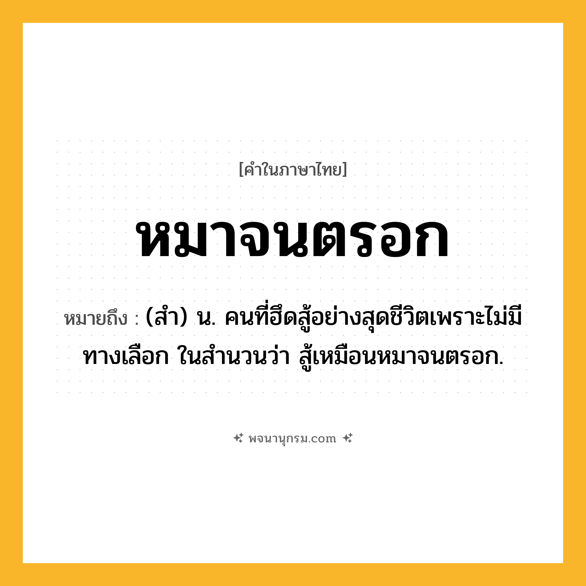 หมาจนตรอก ความหมาย หมายถึงอะไร?, คำในภาษาไทย หมาจนตรอก หมายถึง (สำ) น. คนที่ฮึดสู้อย่างสุดชีวิตเพราะไม่มีทางเลือก ในสำนวนว่า สู้เหมือนหมาจนตรอก.