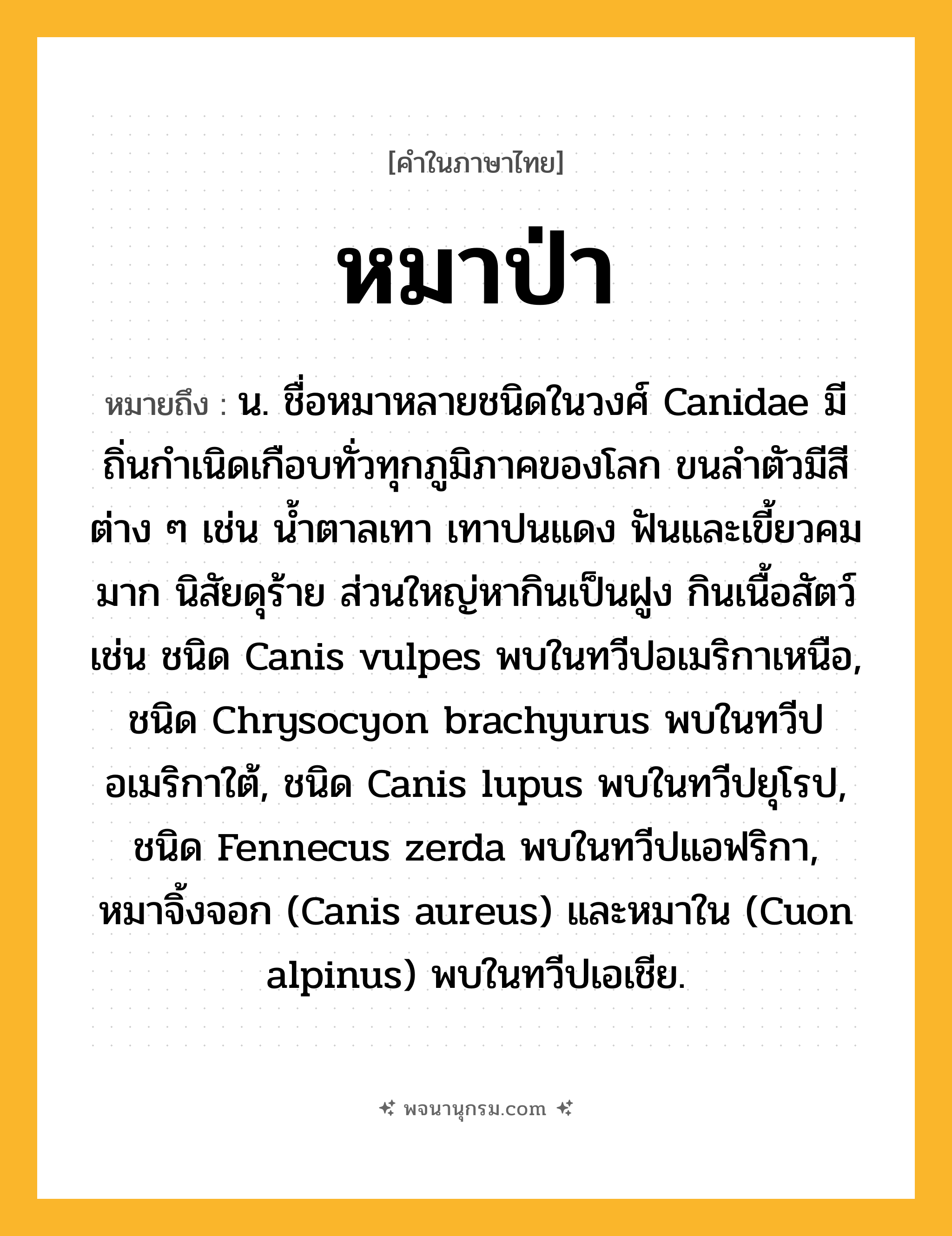 หมาป่า ความหมาย หมายถึงอะไร?, คำในภาษาไทย หมาป่า หมายถึง น. ชื่อหมาหลายชนิดในวงศ์ Canidae มีถิ่นกําเนิดเกือบทั่วทุกภูมิภาคของโลก ขนลําตัวมีสีต่าง ๆ เช่น นํ้าตาลเทา เทาปนแดง ฟันและเขี้ยวคมมาก นิสัยดุร้าย ส่วนใหญ่หากินเป็นฝูง กินเนื้อสัตว์ เช่น ชนิด Canis vulpes พบในทวีปอเมริกาเหนือ, ชนิด Chrysocyon brachyurus พบในทวีปอเมริกาใต้, ชนิด Canis lupus พบในทวีปยุโรป, ชนิด Fennecus zerda พบในทวีปแอฟริกา, หมาจิ้งจอก (Canis aureus) และหมาใน (Cuon alpinus) พบในทวีปเอเชีย.