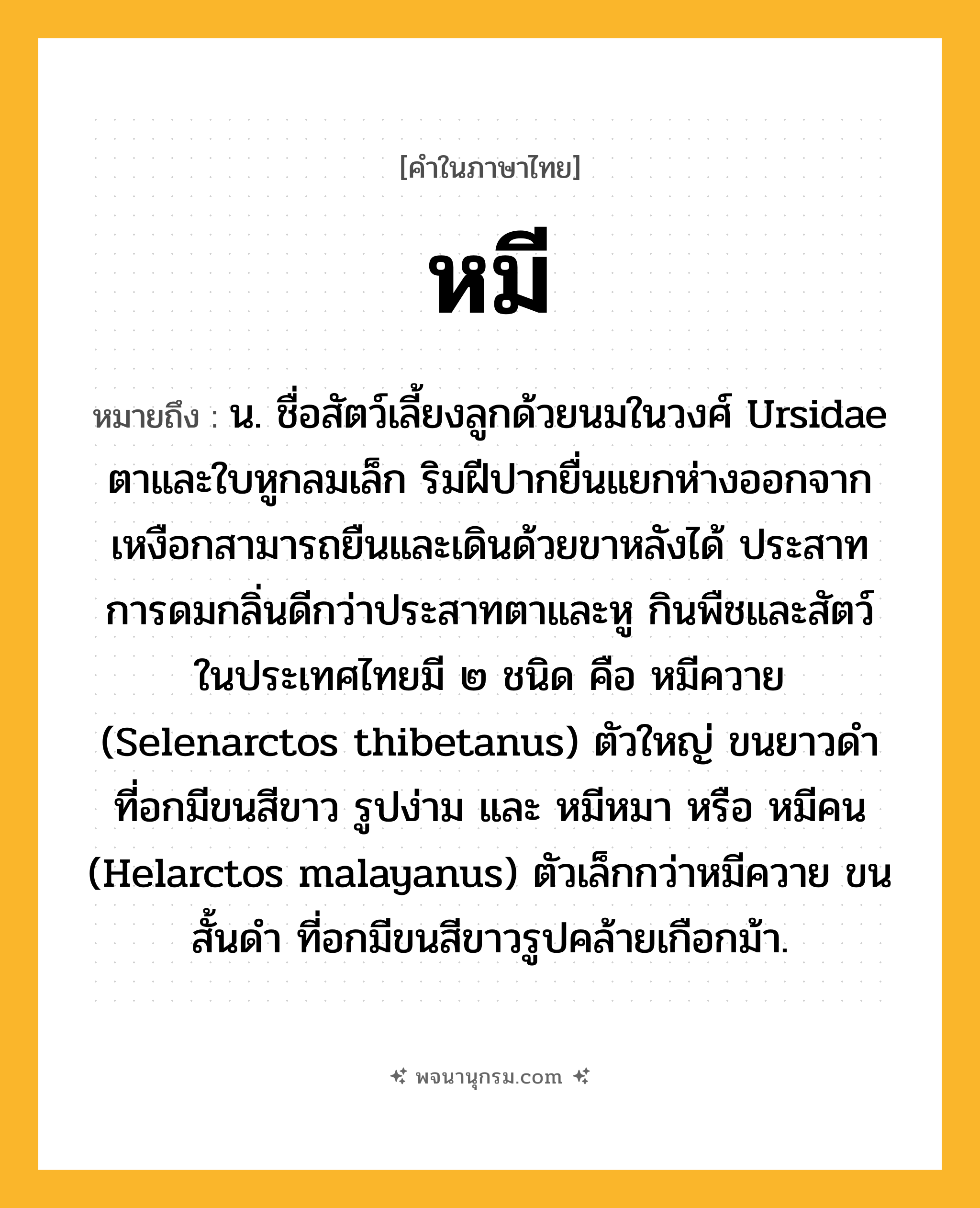 หมี ความหมาย หมายถึงอะไร?, คำในภาษาไทย หมี หมายถึง น. ชื่อสัตว์เลี้ยงลูกด้วยนมในวงศ์ Ursidae ตาและใบหูกลมเล็ก ริมฝีปากยื่นแยกห่างออกจากเหงือกสามารถยืนและเดินด้วยขาหลังได้ ประสาทการดมกลิ่นดีกว่าประสาทตาและหู กินพืชและสัตว์ ในประเทศไทยมี ๒ ชนิด คือ หมีควาย (Selenarctos thibetanus) ตัวใหญ่ ขนยาวดํา ที่อกมีขนสีขาว รูปง่าม และ หมีหมา หรือ หมีคน (Helarctos malayanus) ตัวเล็กกว่าหมีควาย ขนสั้นดํา ที่อกมีขนสีขาวรูปคล้ายเกือกม้า.