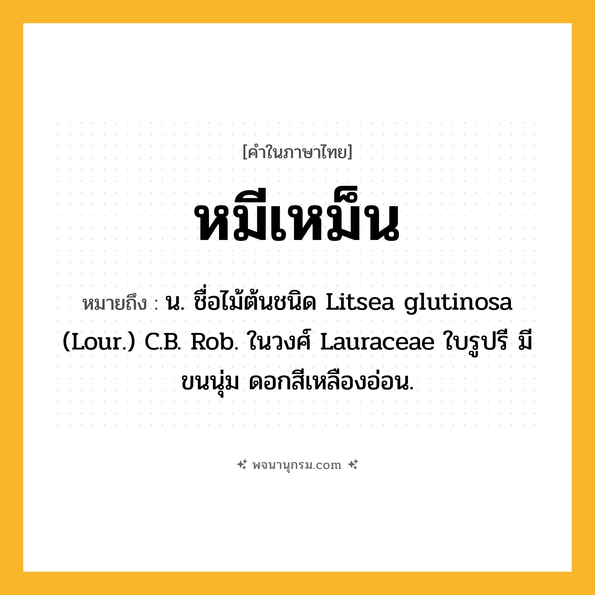 หมีเหม็น ความหมาย หมายถึงอะไร?, คำในภาษาไทย หมีเหม็น หมายถึง น. ชื่อไม้ต้นชนิด Litsea glutinosa (Lour.) C.B. Rob. ในวงศ์ Lauraceae ใบรูปรี มีขนนุ่ม ดอกสีเหลืองอ่อน.