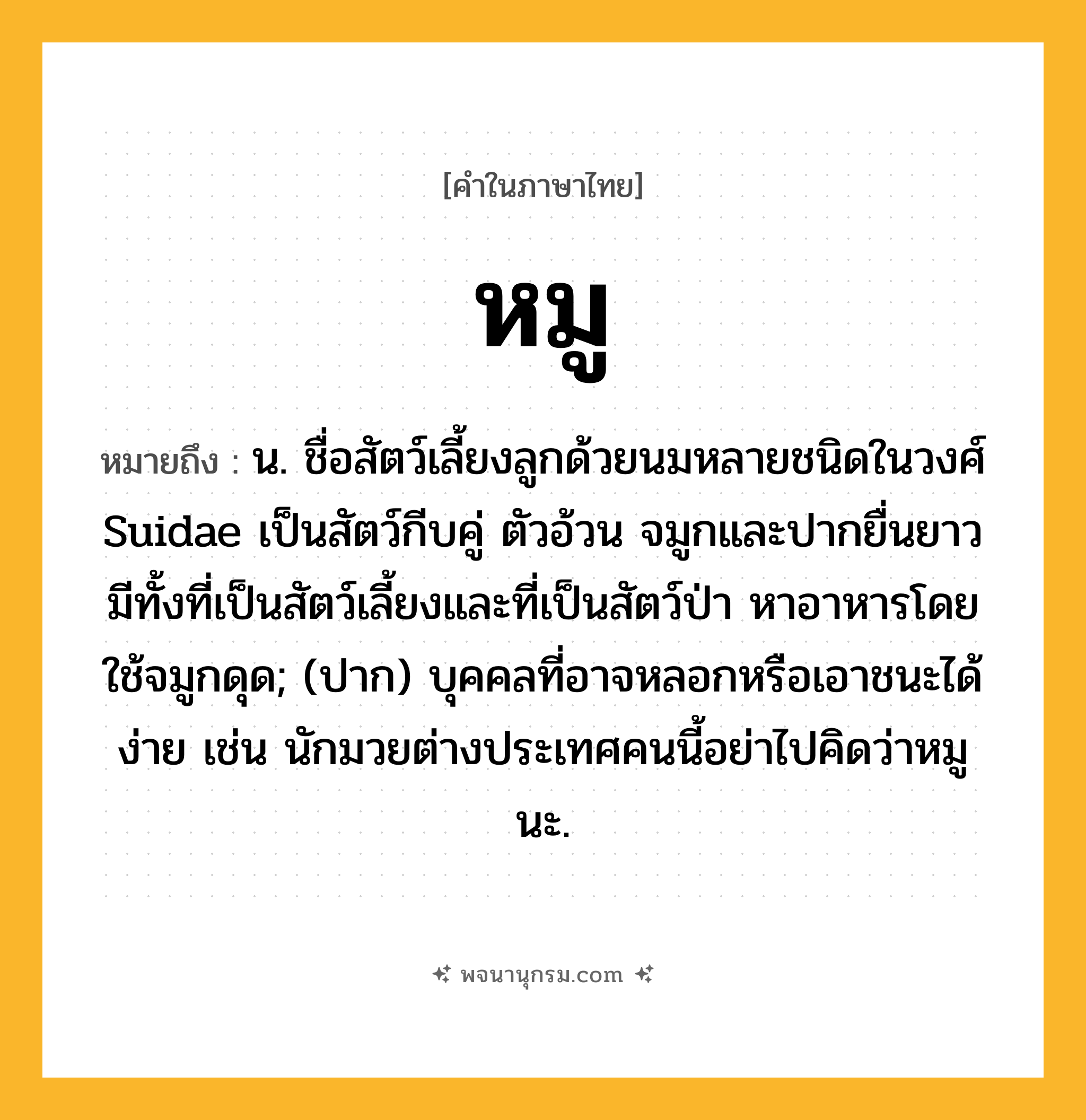 หมู ความหมาย หมายถึงอะไร?, คำในภาษาไทย หมู หมายถึง น. ชื่อสัตว์เลี้ยงลูกด้วยนมหลายชนิดในวงศ์ Suidae เป็นสัตว์กีบคู่ ตัวอ้วน จมูกและปากยื่นยาว มีทั้งที่เป็นสัตว์เลี้ยงและที่เป็นสัตว์ป่า หาอาหารโดยใช้จมูกดุด; (ปาก) บุคคลที่อาจหลอกหรือเอาชนะได้ง่าย เช่น นักมวยต่างประเทศคนนี้อย่าไปคิดว่าหมูนะ.